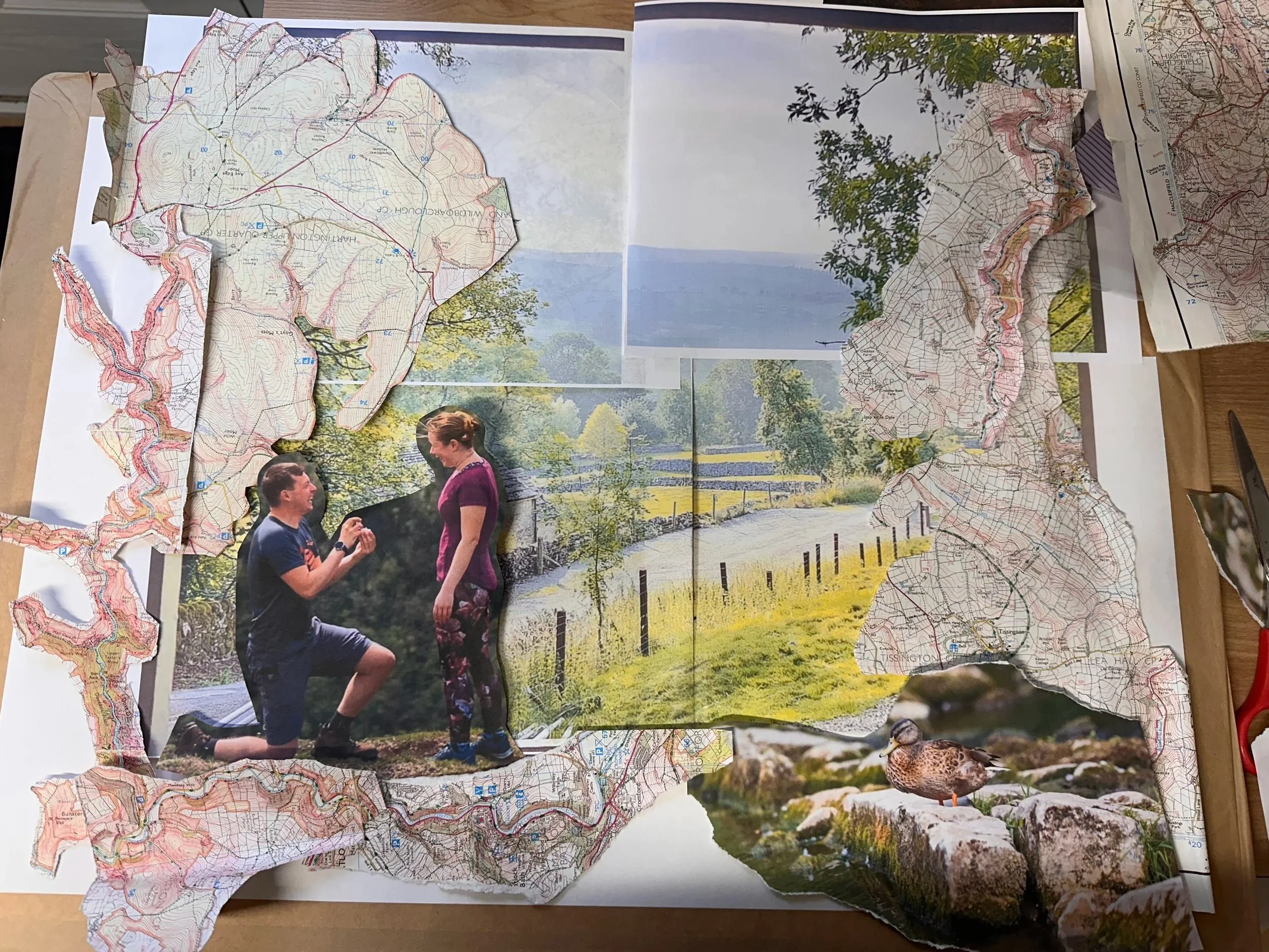 Stage 2 |

Collage & Collect