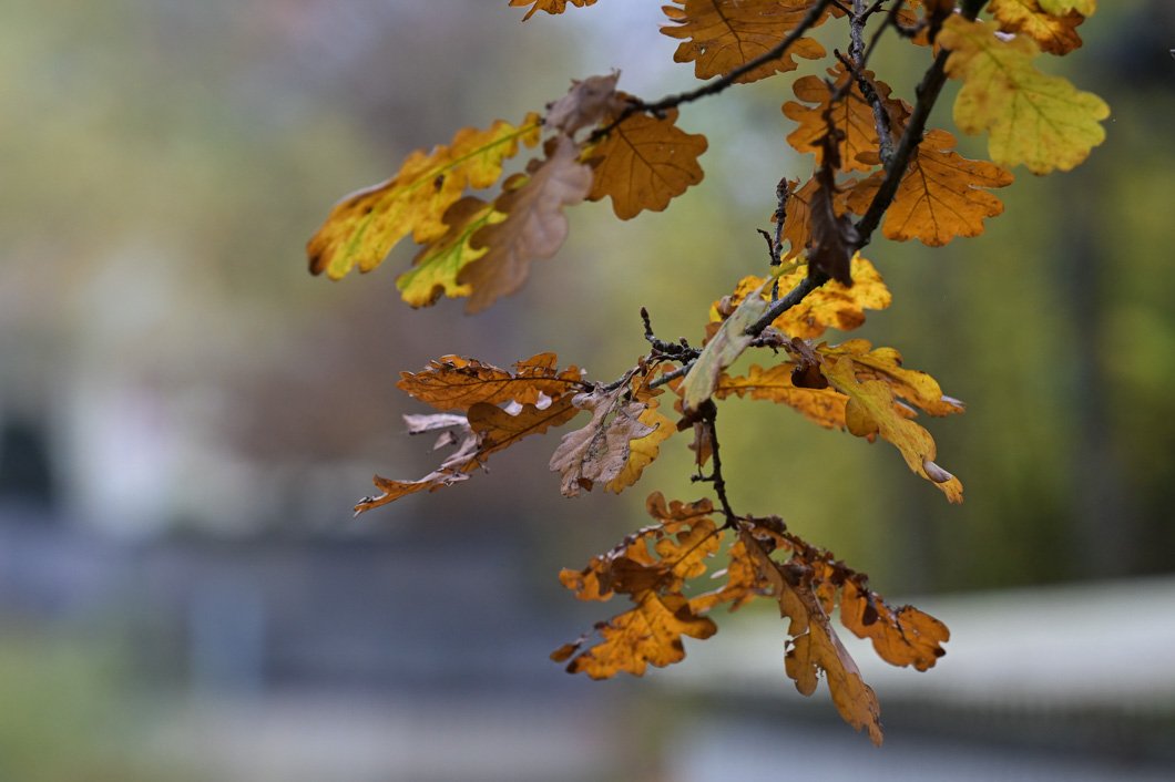 EG8_9618.jpg