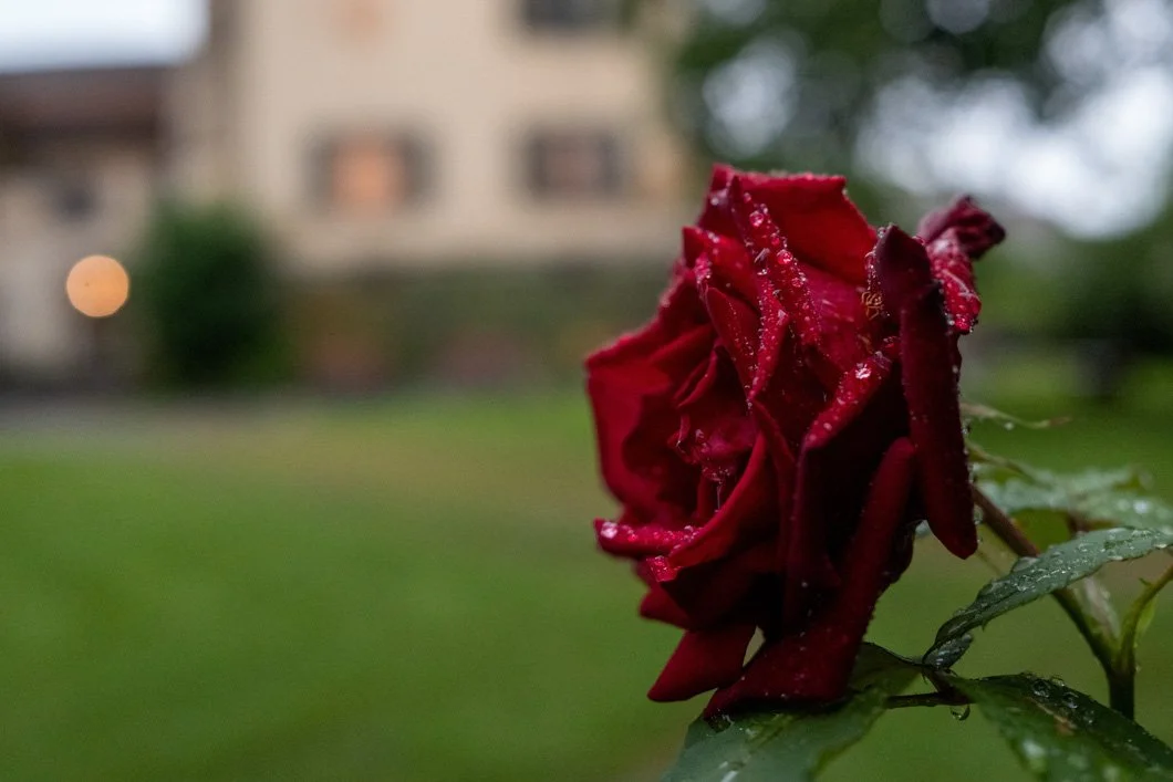 Mittsommer-Anlass des Vereins