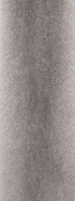 Close-up of a gray, furry, textured fabric or material.