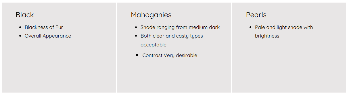 Chart comparing black, mahogany, and pearl color options for fur, including details about their appearance and preferences.