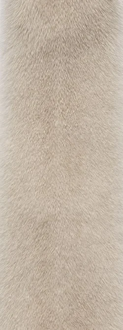 Close-up of beige, textured fabric or material.