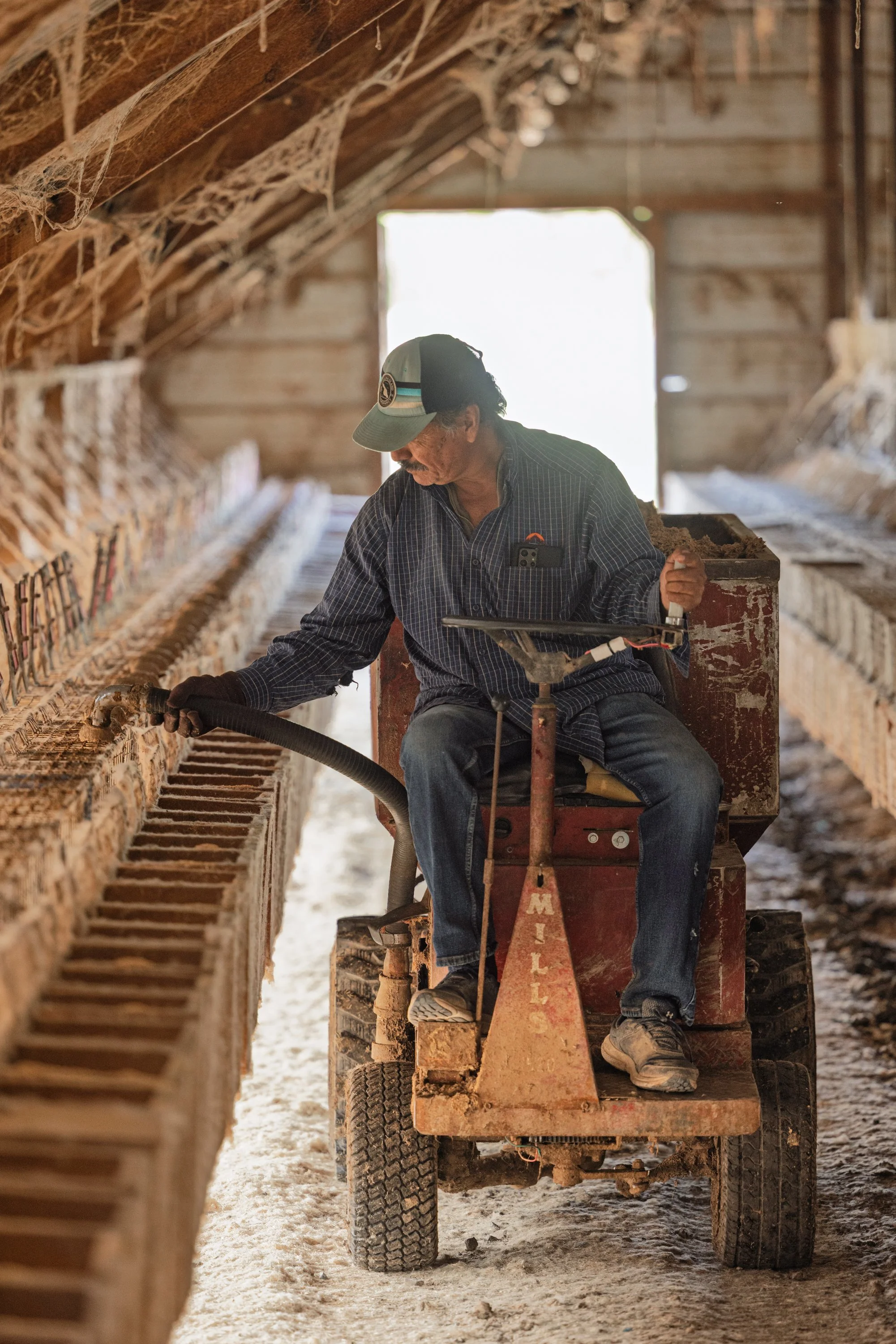 Mink Farming