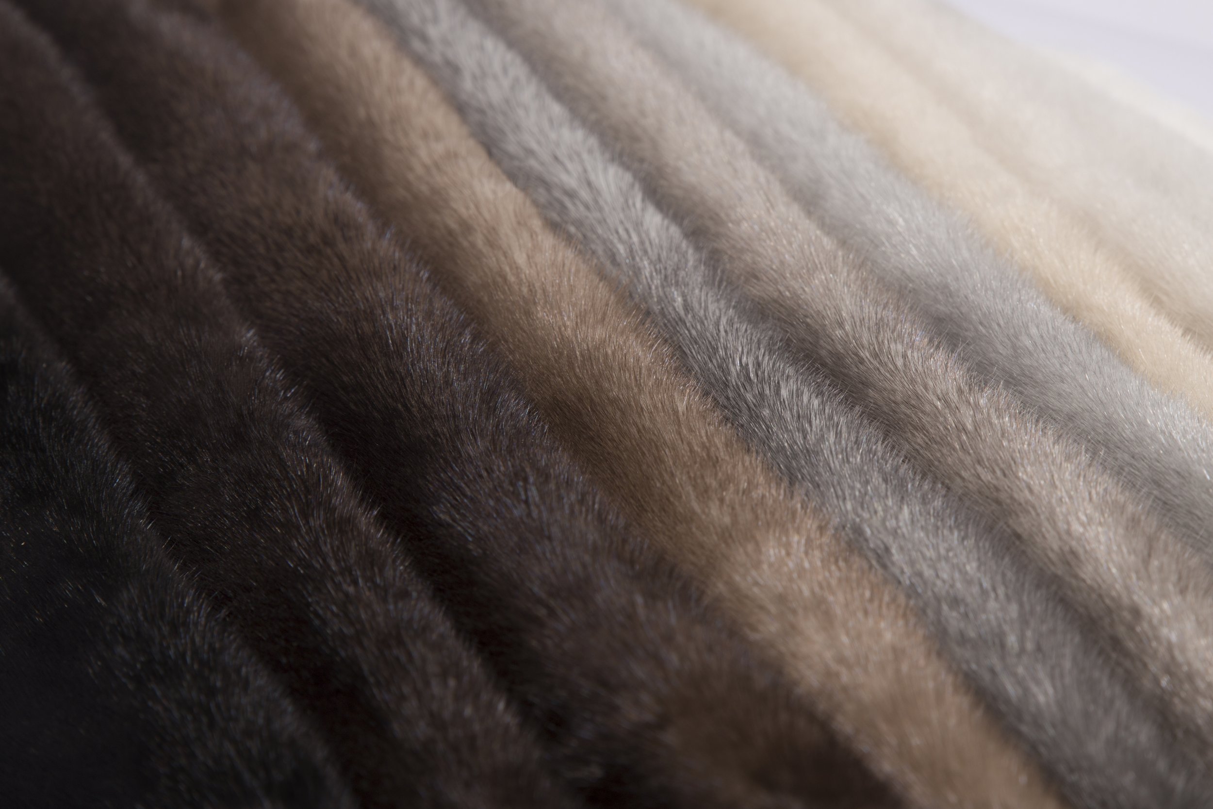 Close-up of animal fur with varying shades of brown and gray.