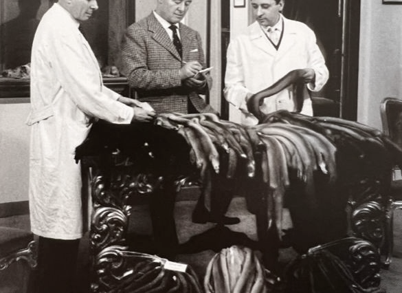 Three men examining an array of animal pelts or skins displayed on a table.