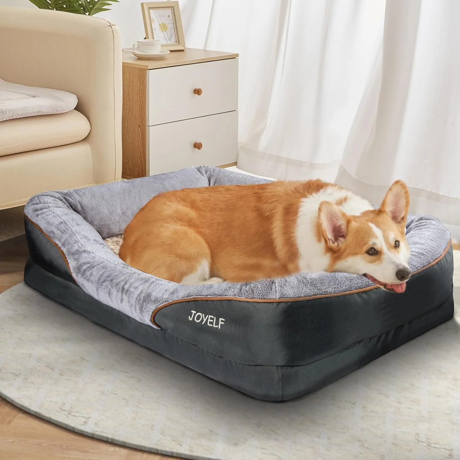 A cute dog resting peacefully in a comfy dog bed