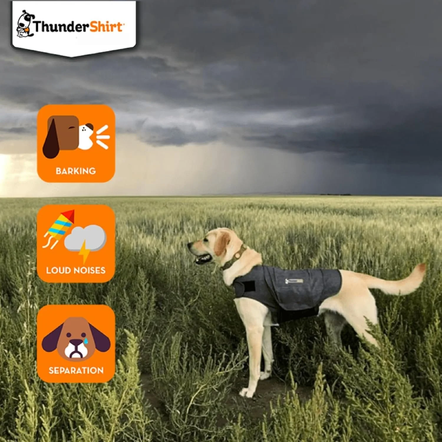 ThunderShirt for Dogs
