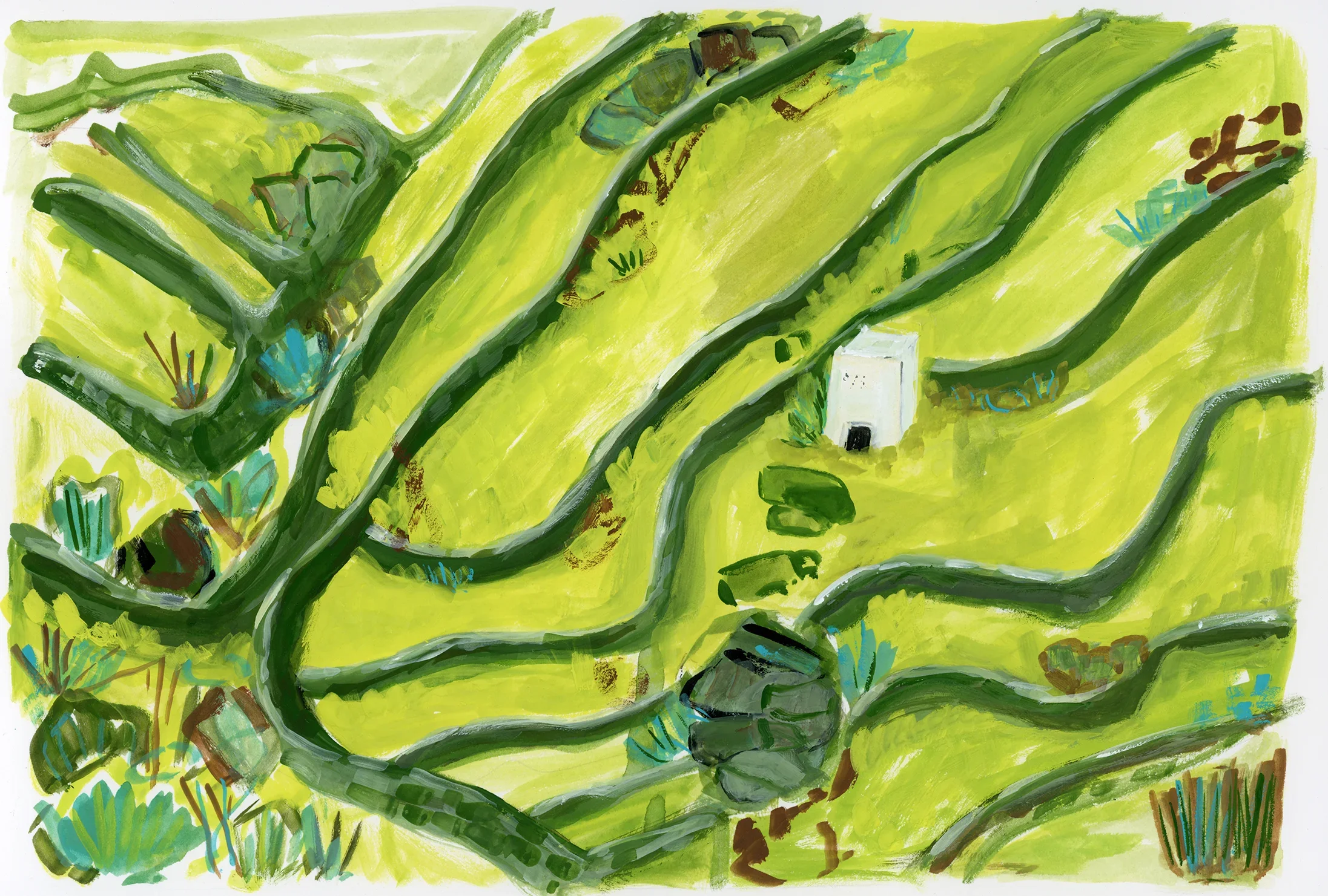 Terraces.webp
