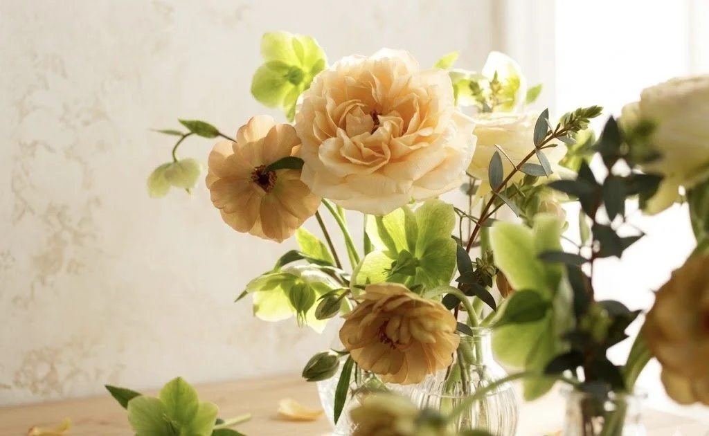 A close-up of a delicate spring floral arrangement featuring a large peach garden rose, honey-colored butterfly ranunculus, and lime green hellebores in a ribbed glass bud vase, bathed in soft natural light.