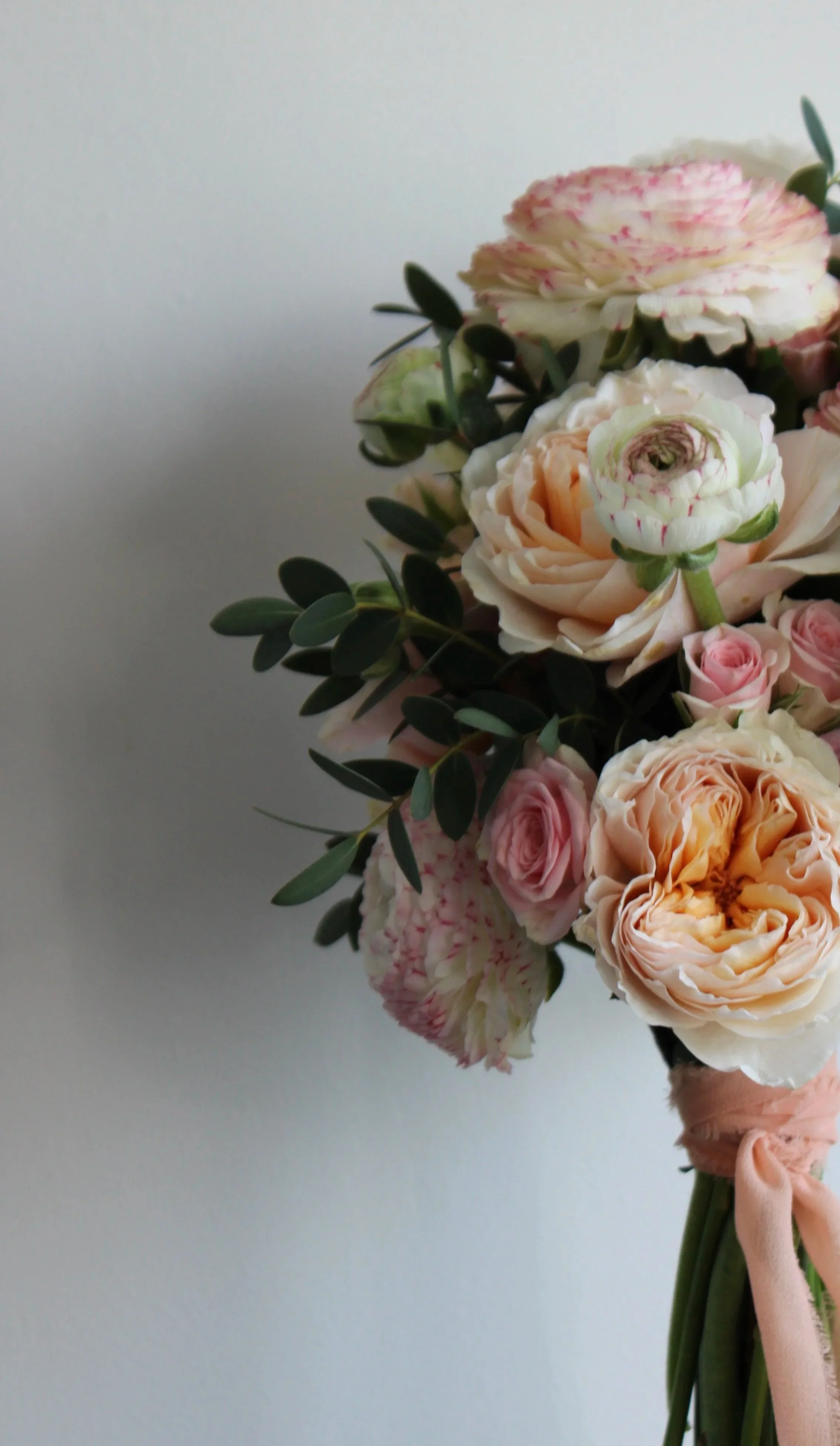 A romantic bridal bouquet featuring peach Juliet roses, blush ranunculus with pink edges, and spray roses accented by silver dollar eucalyptus, finished with a hand-dyed peach silk ribbon.