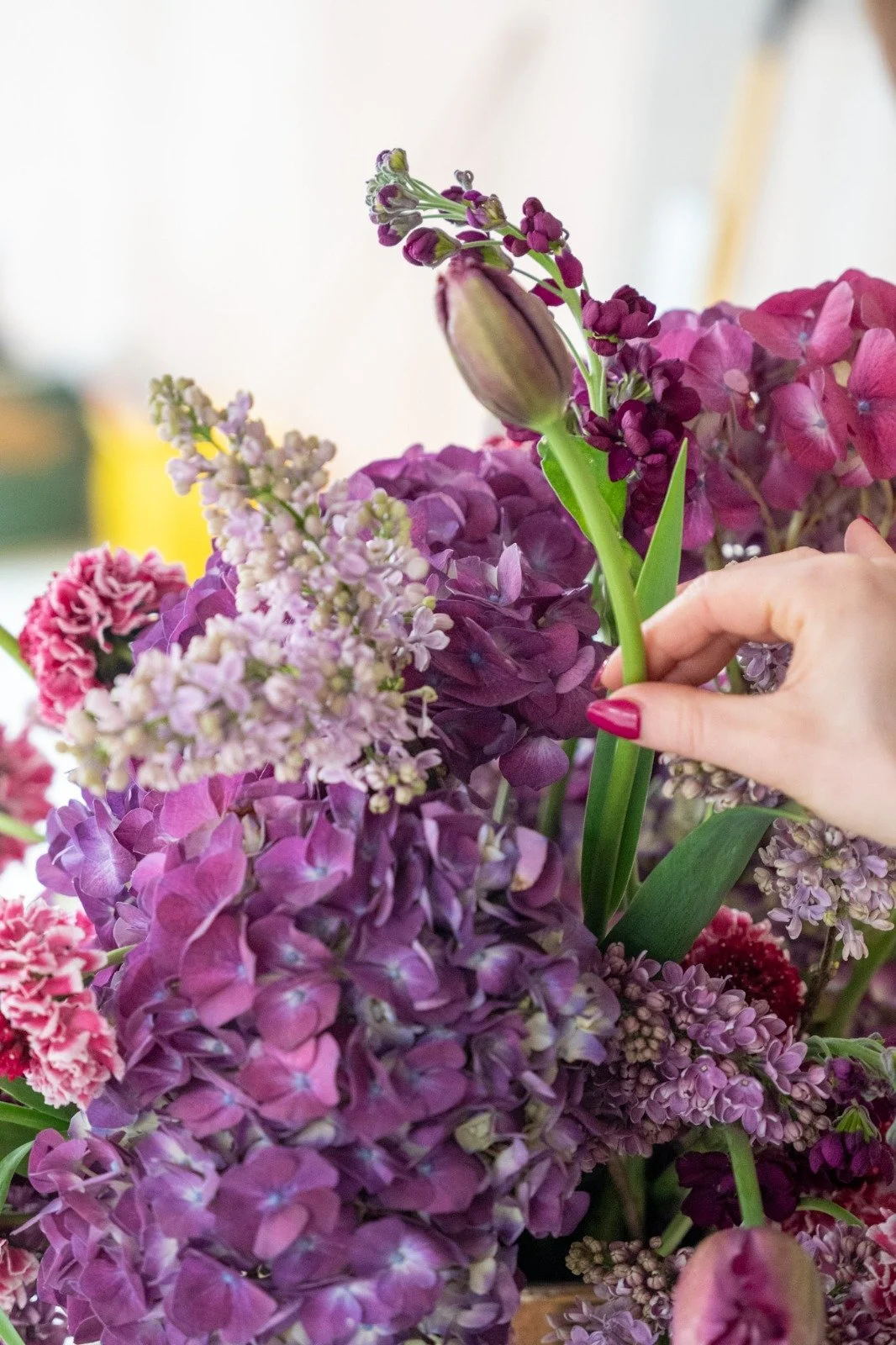 A close-up shot of a floral designer’s hand adjusting a purple tulip within a lush, tonal arrangement of purple hydrangeas, fragrant lilac, and dark plum stocks.