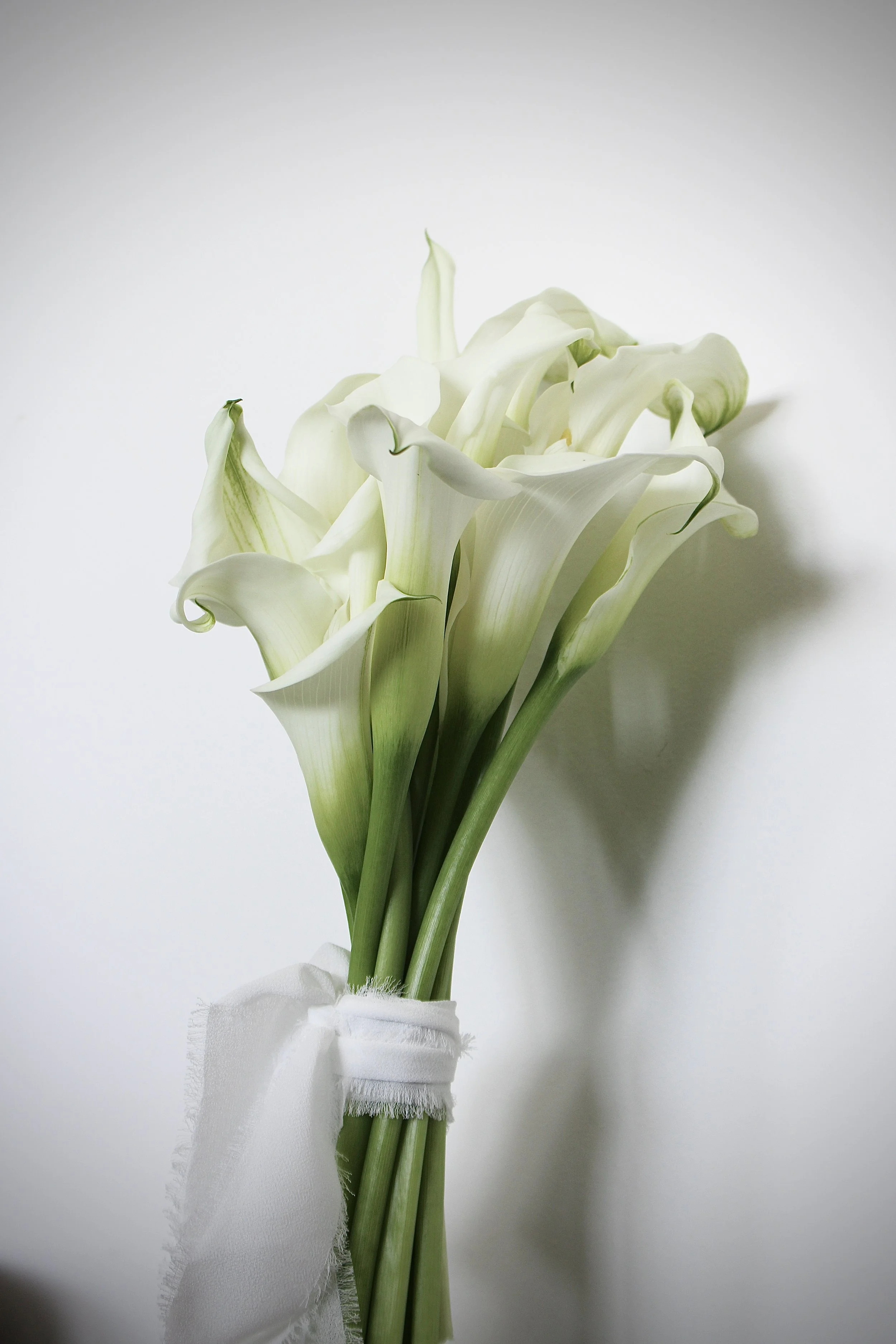 A striking, minimalist bridal bouquet featuring the sleek, architectural lines of crisp white calla lilies. Bound with a delicate, raw-edged silk ribbon, this design embodies modern sophistication and timeless elegance.