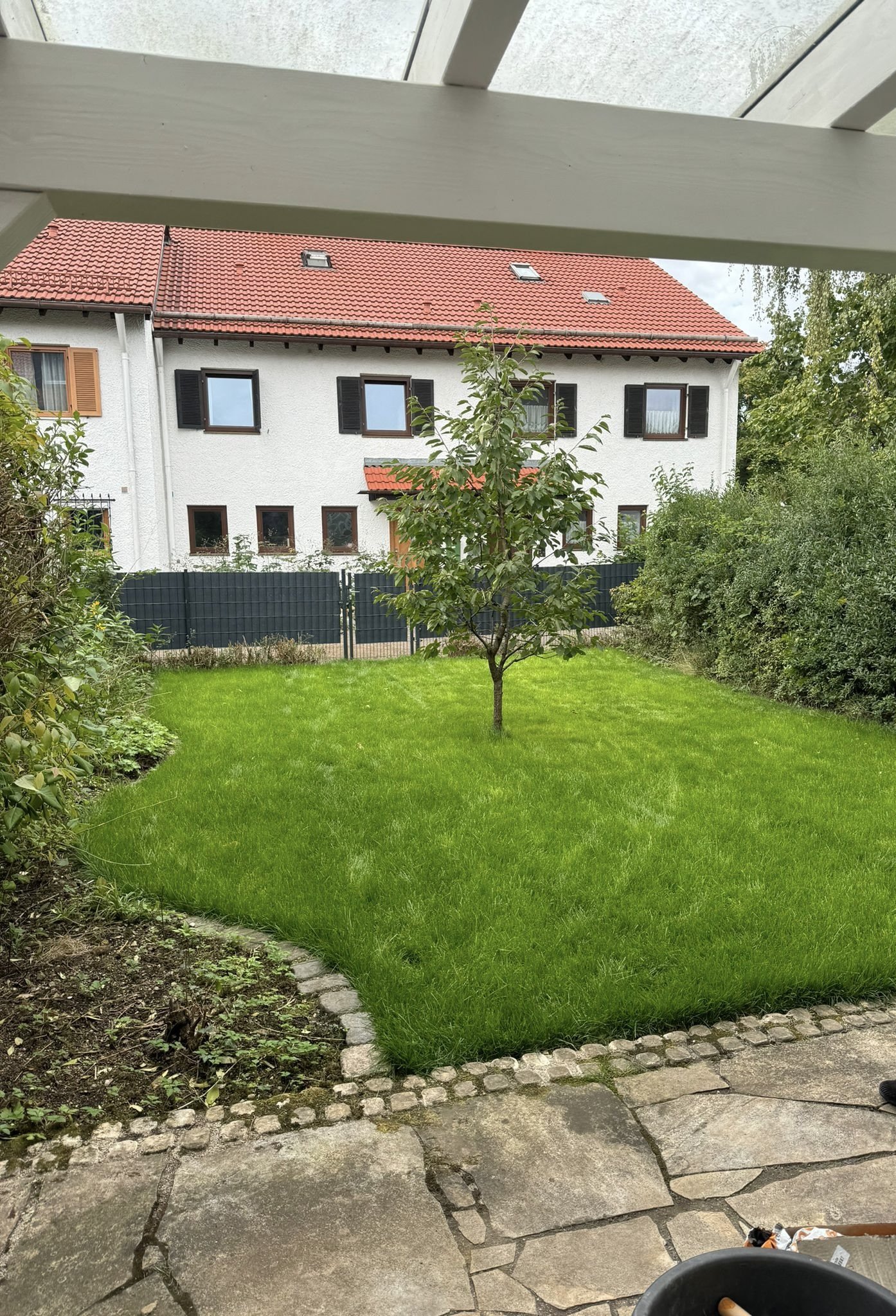 Garten mit grünem Rasen, einem kleinen Baum, umgeben von Büschen und Zäunen, mit einem mehrstöckigen weißen Haus im Hintergrund.