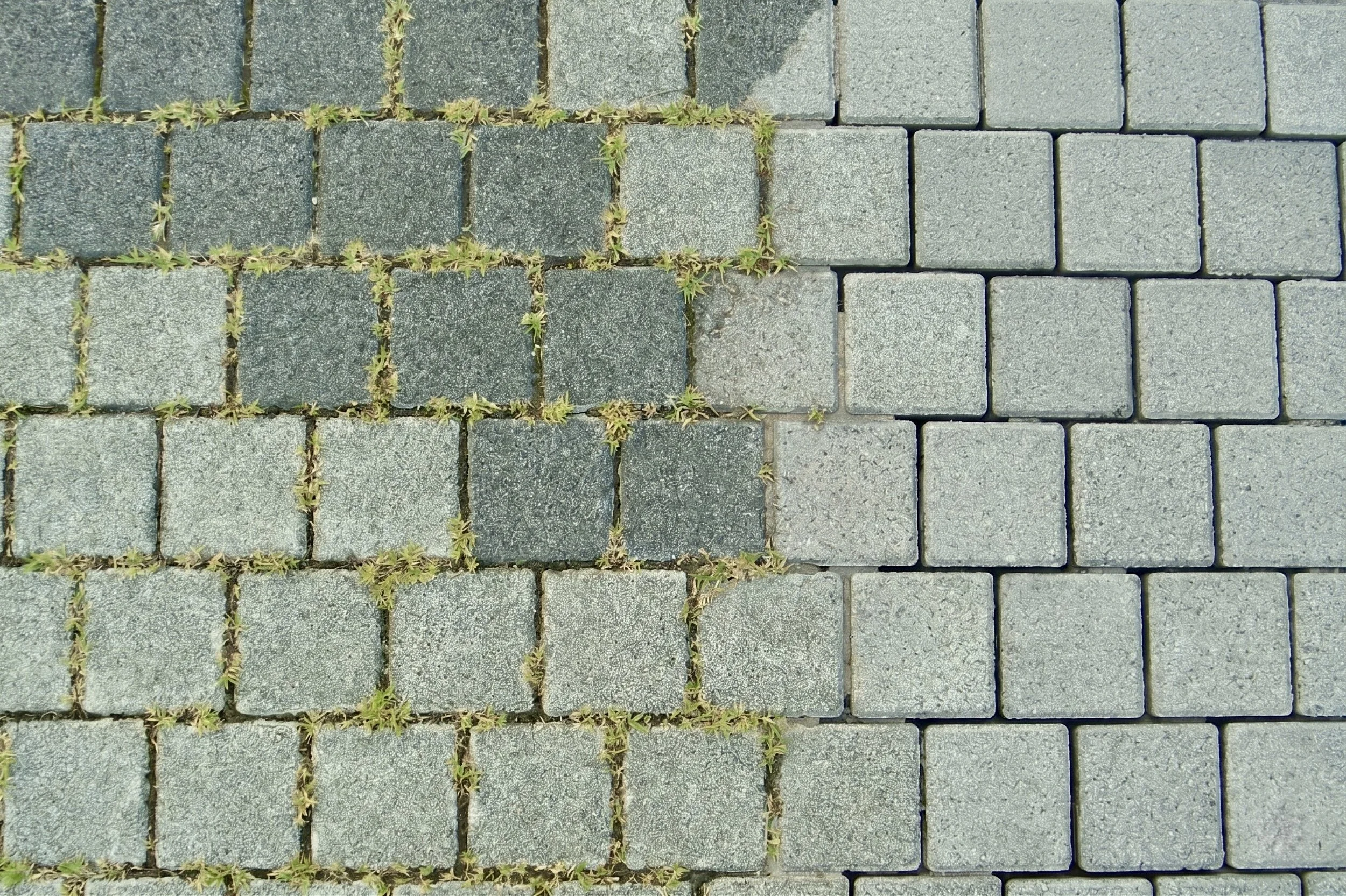 Reinigung von Pflastersteinen und Entfernung des Moos