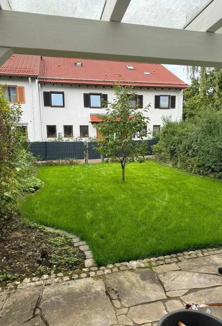 Der Garten hat ein perfekten grünen Rasen mit einem Baum in der Mitte.