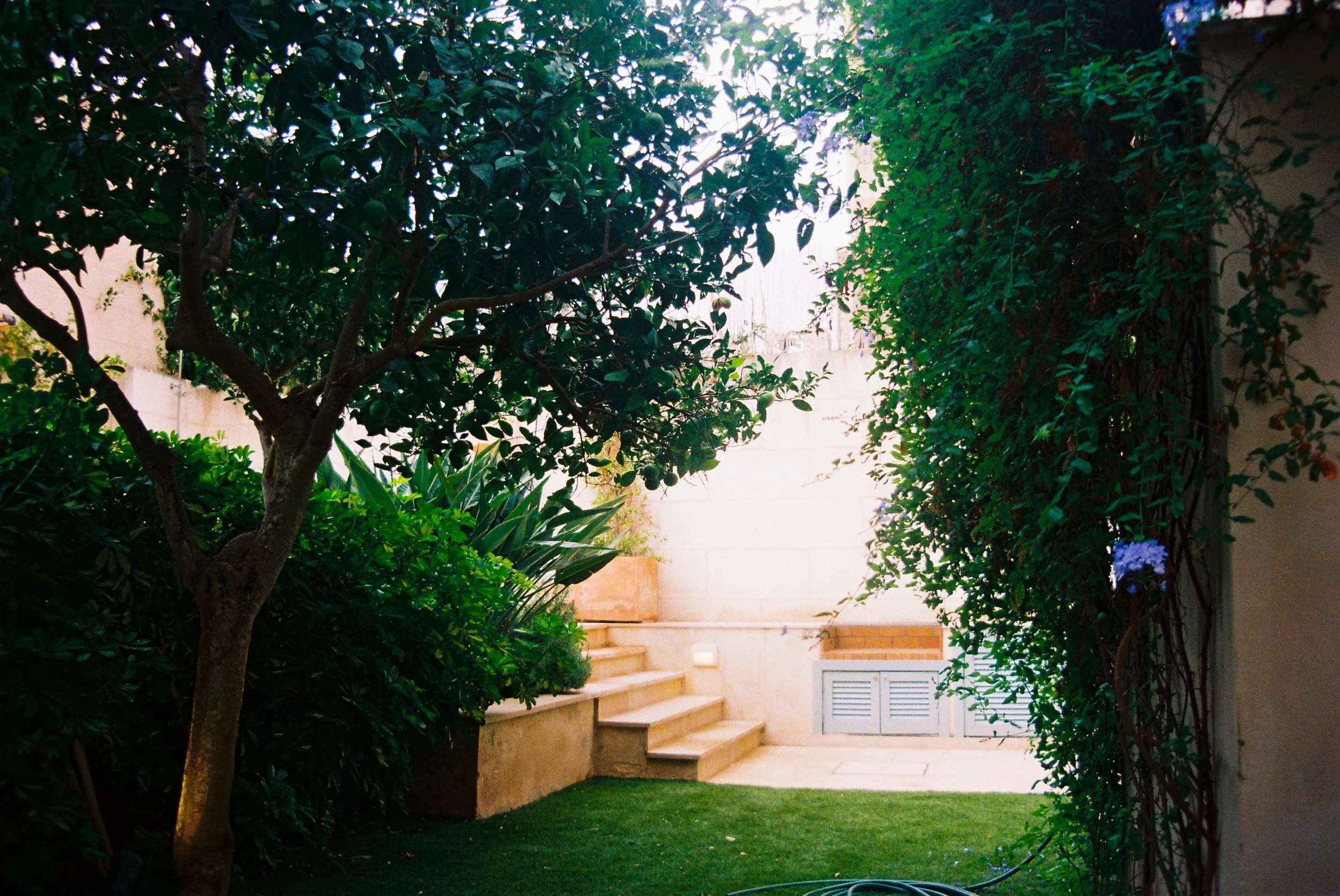 R1-03713-026A.jpg