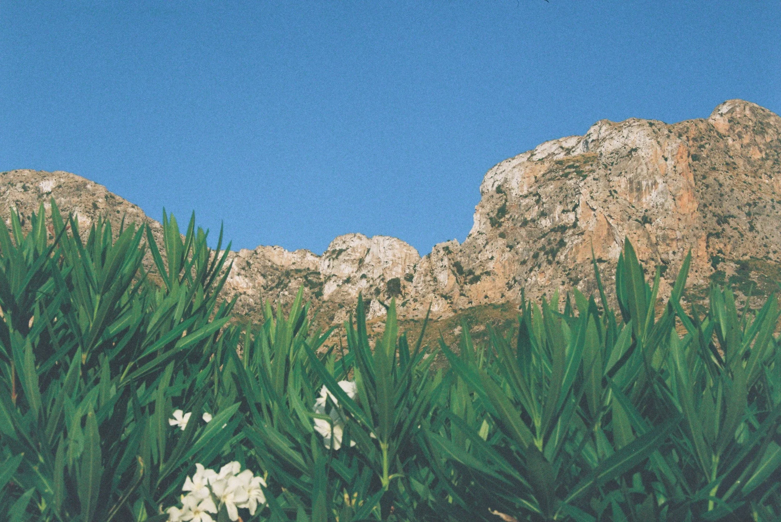 R1-02355-0030.jpg