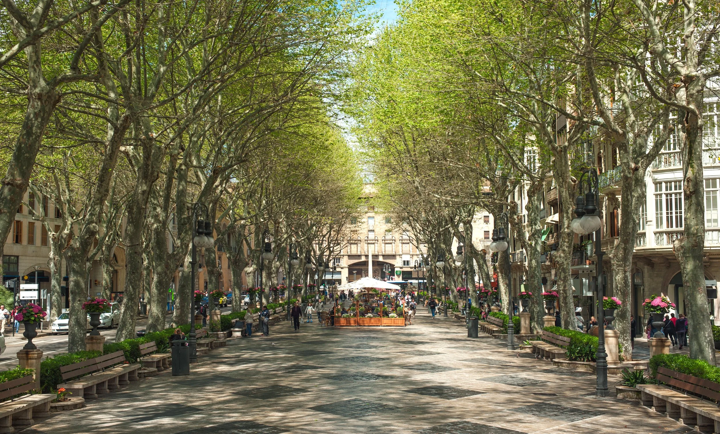 C4_COR 39-apartments-Paseo del Borne_2.jpg