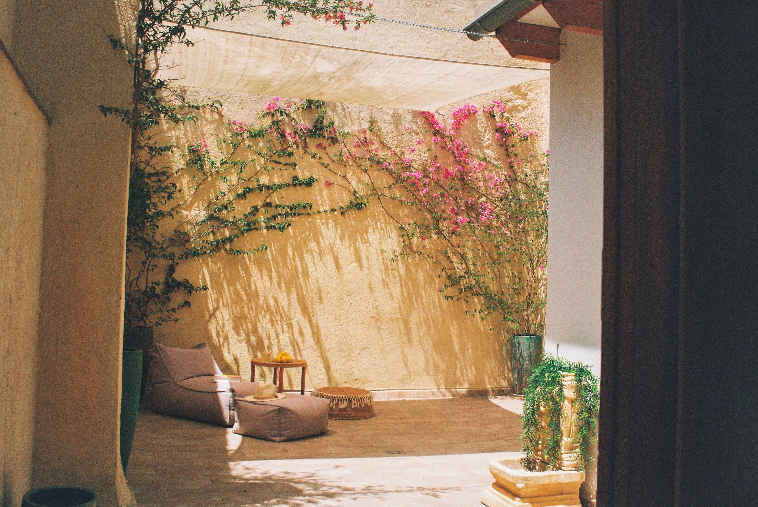 patio