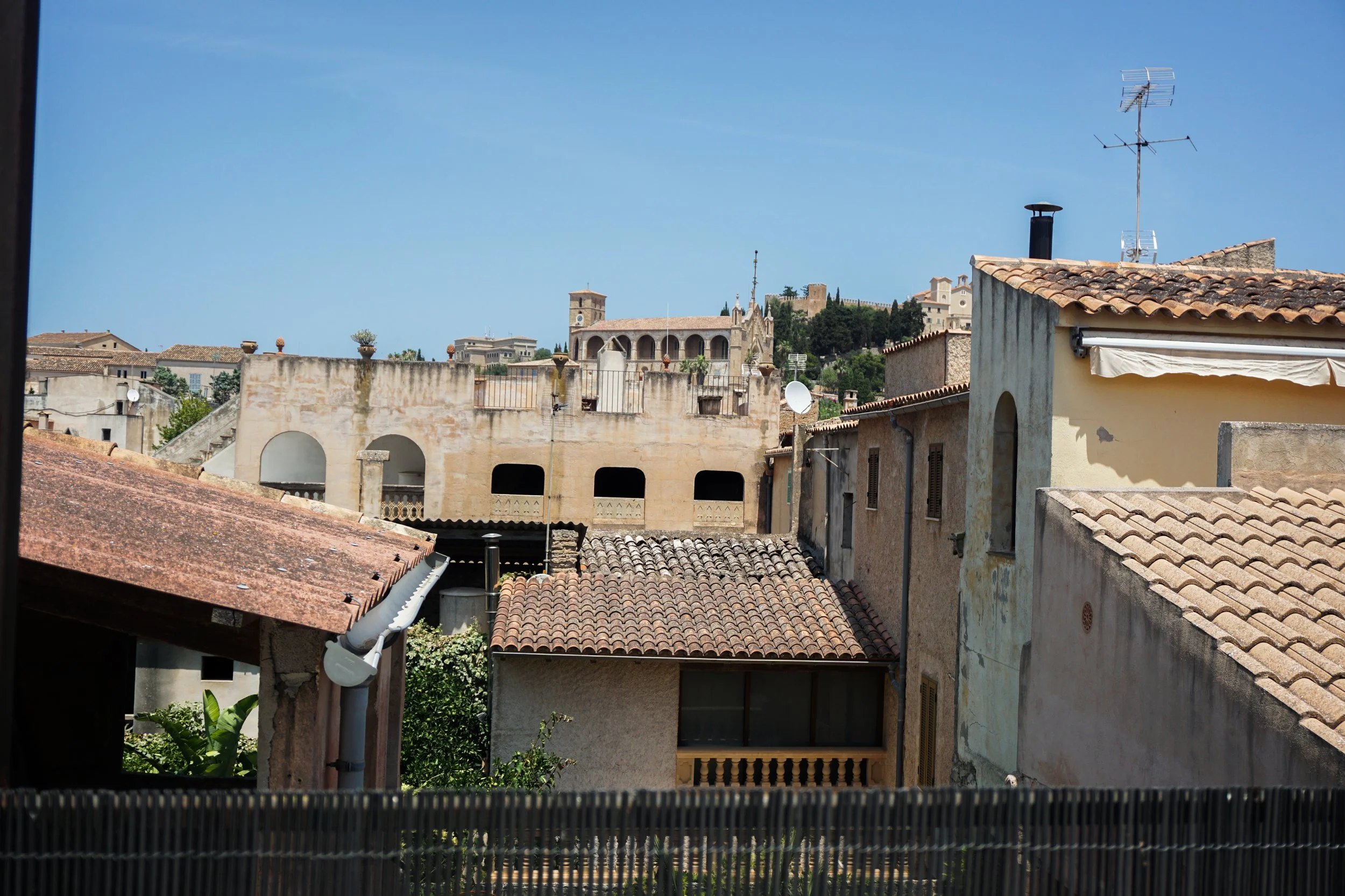 view