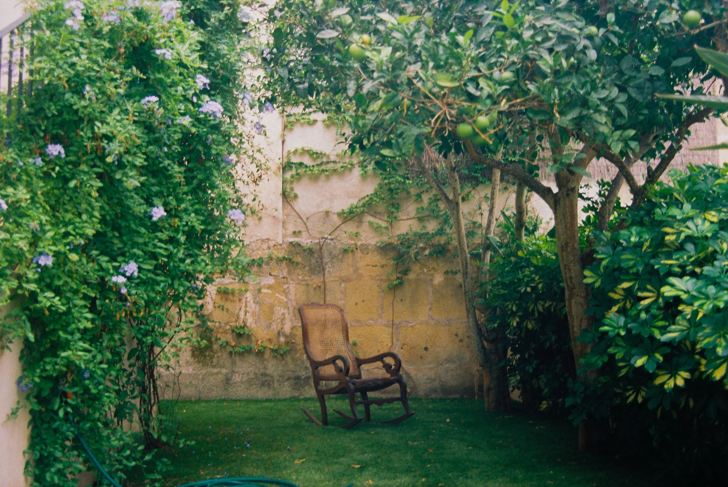 R1-03713-005A.jpg