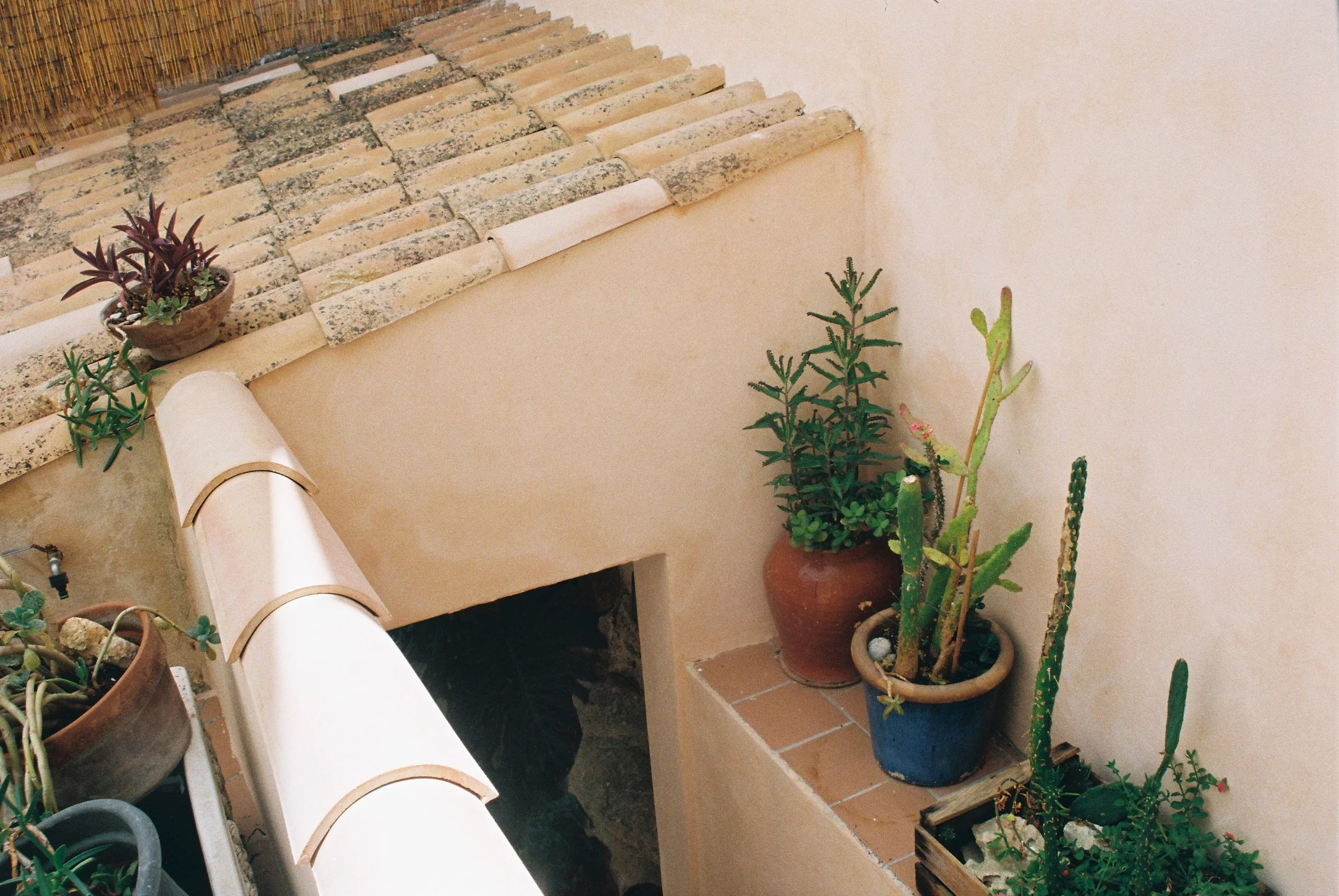 R1-02446-017A.jpg