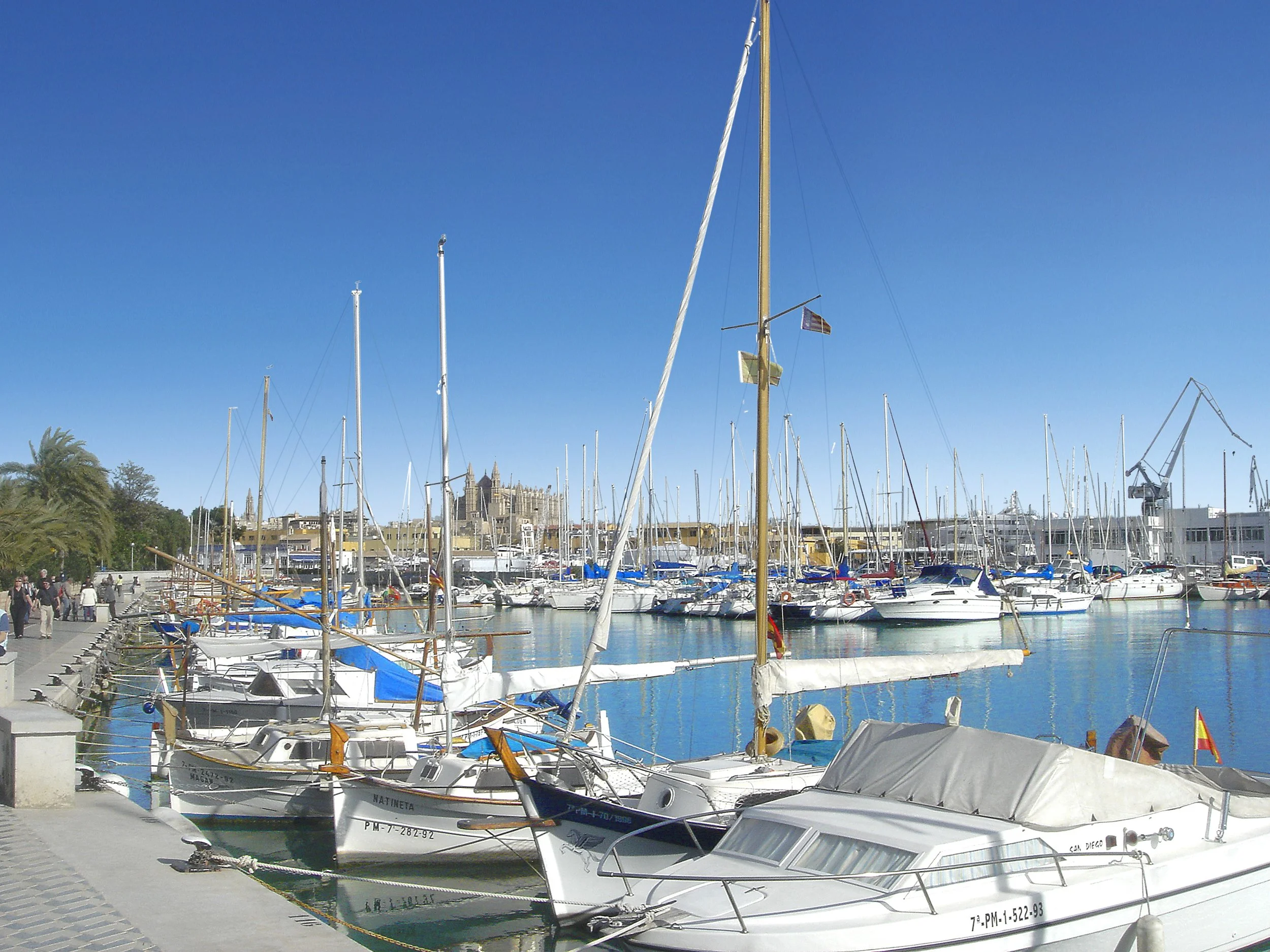 C6_COR 39-apartments-Paseo Marítimo Palma_2.jpg