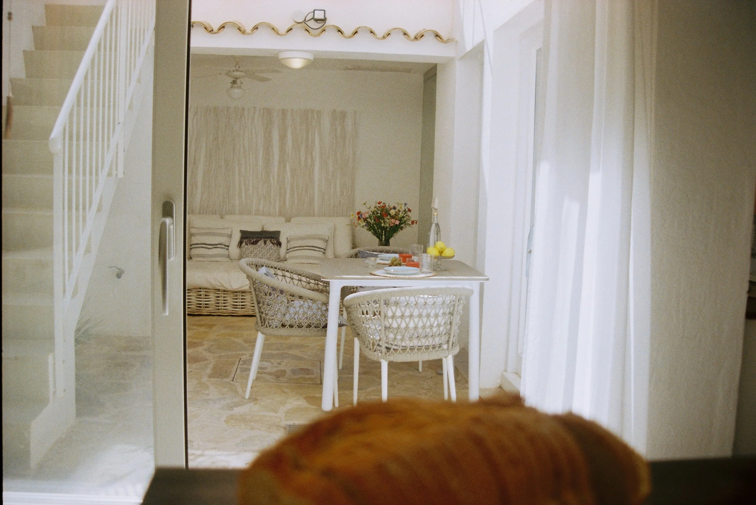 R1-02356-006A.jpg