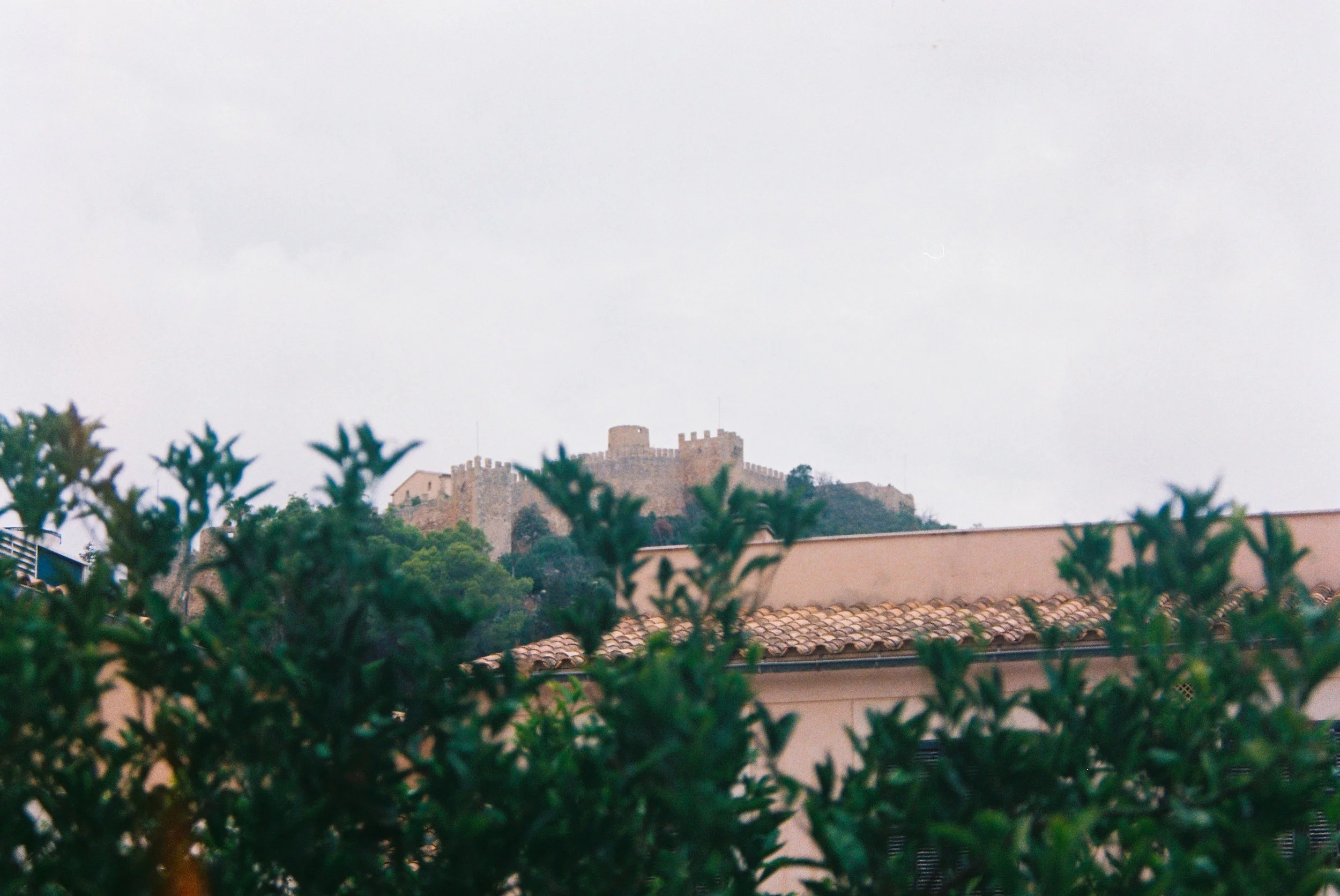 R1-03714-036A.jpg