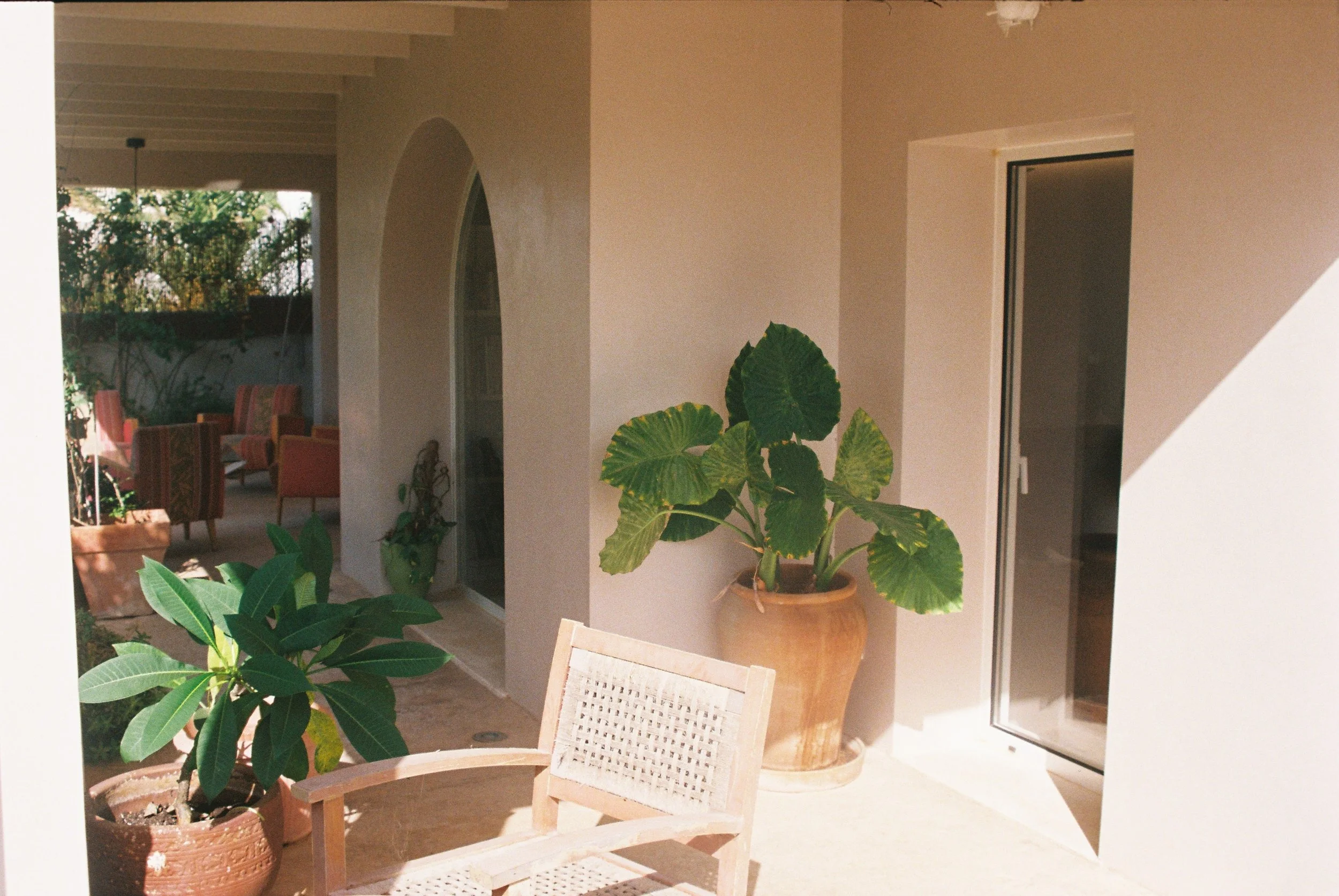 garden