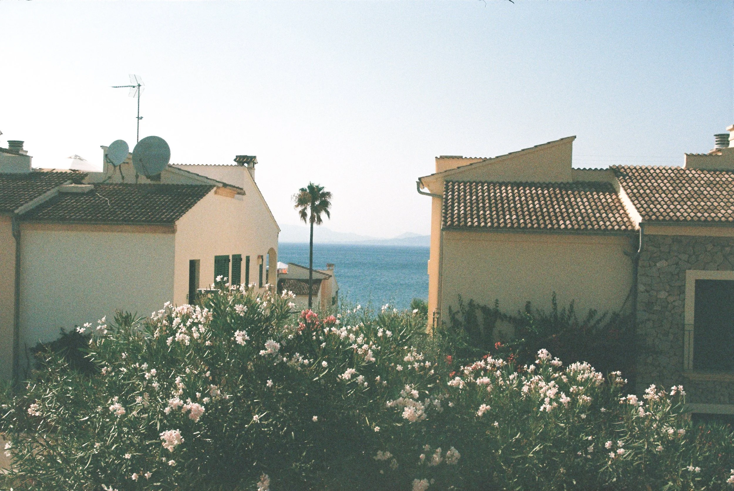 rooftop view