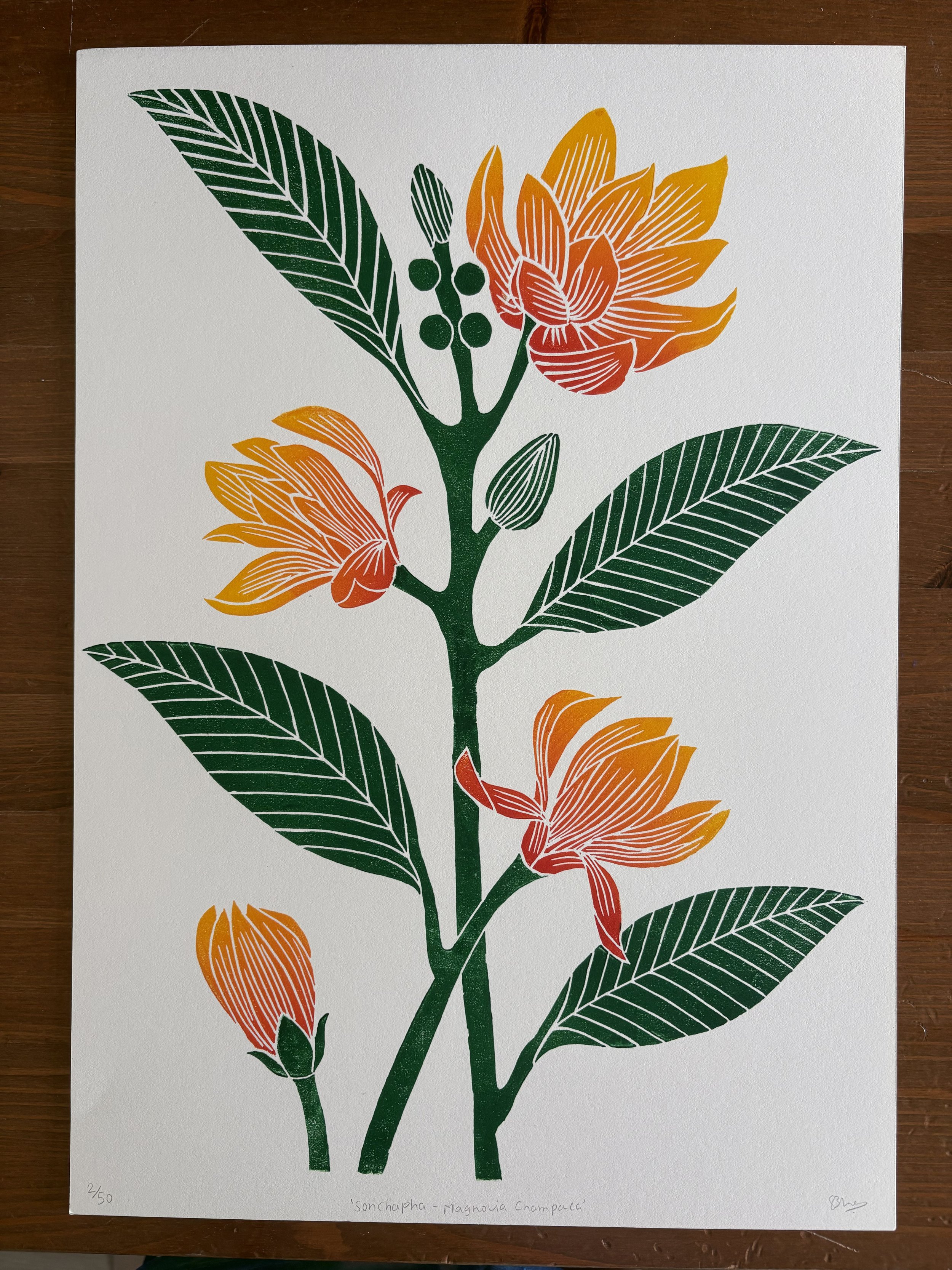 'SonChafa' - Magnolia Champaca flowers