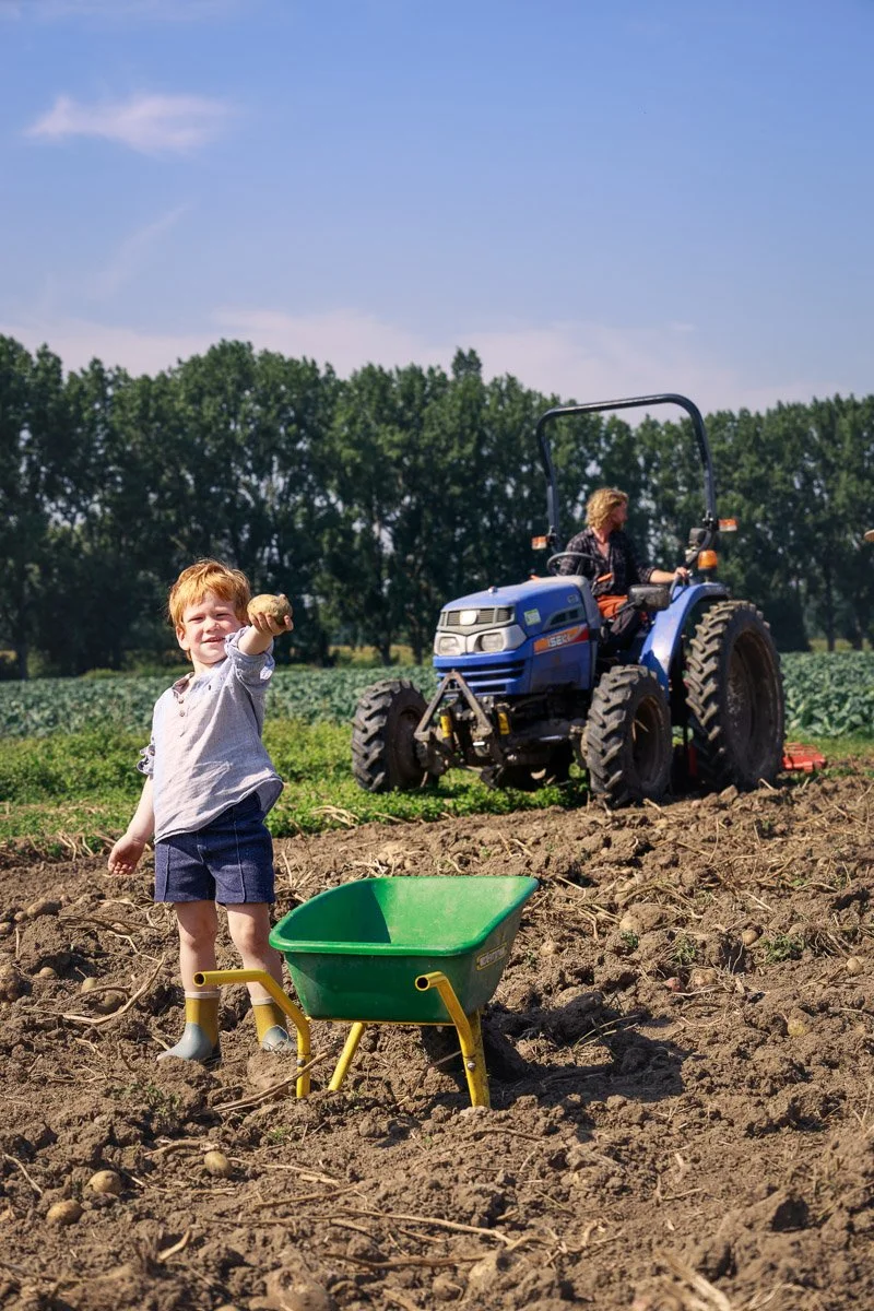 Kind met rood haar houdt een aardappel omhoog terwijl hij in een veld staat, met een groene tuingereedschapwagen voor zich en een tractor operator die het veld bewerkt op de achtergrond.