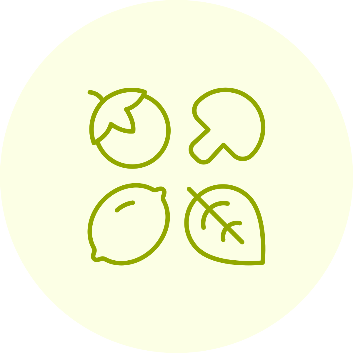 Grafische icons van een sinaasappel, een kiwi, een citroen en een vijgenblad, allemaal in lijntekeningen en groenkleurig op een lichte achtergrond.
