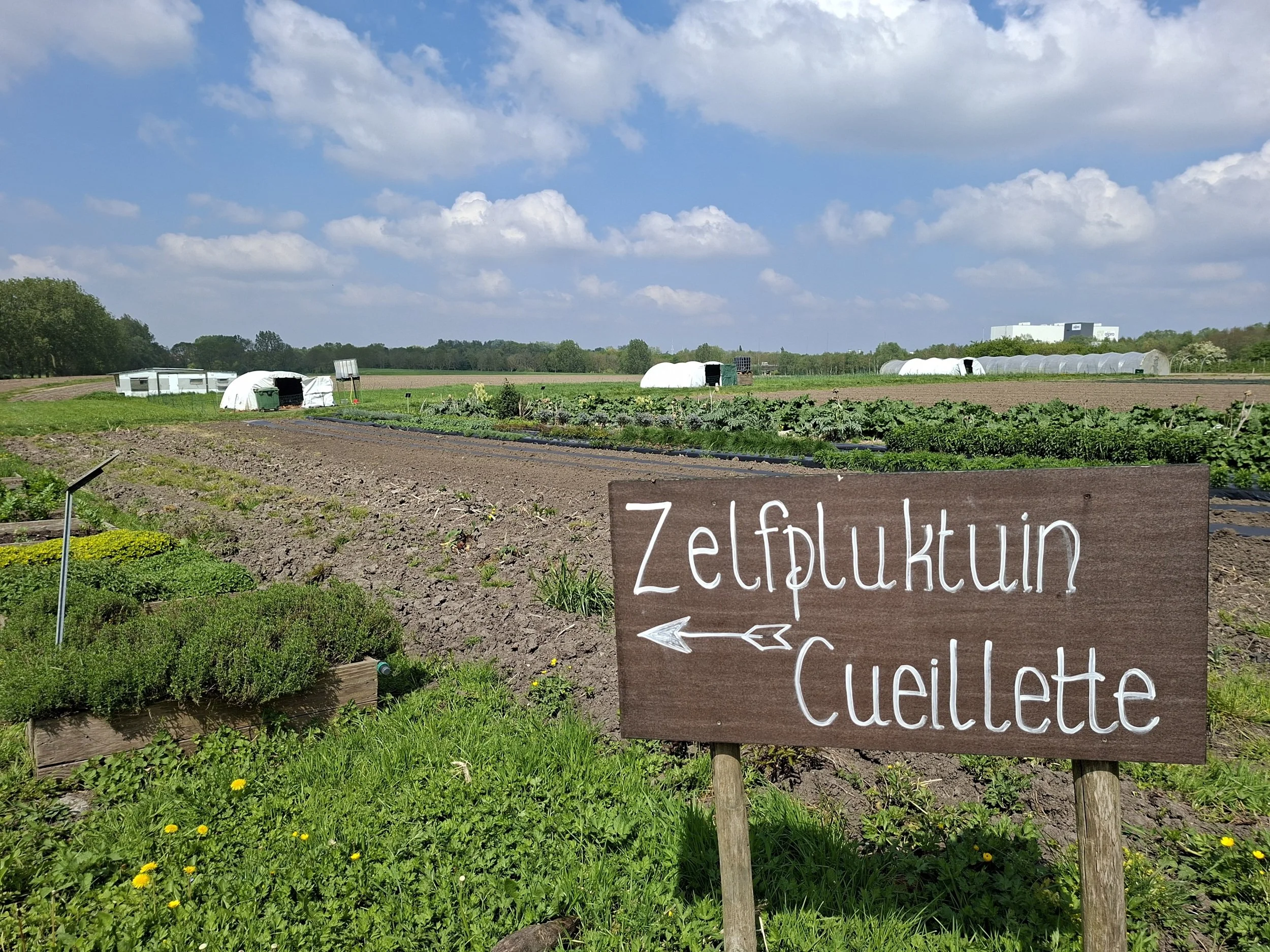 Groene tuin met groenten, een schuilhuisje en een bord met de tekst 'Zelfvoorziening, Cueillette' en een pijl die wijst naar de velden van 't Goed ter Heule.