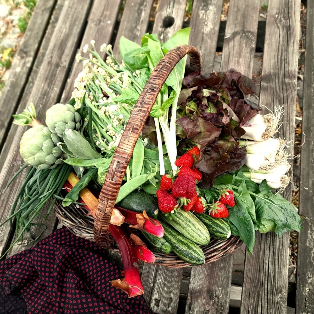 Mandje met verse groenten en fruit van de zelfpluk van 't Goed ter Heule, waaronder aardbeien, courgettes, uien, artichokken, sla, bieslook, en knoflook, gelegen op een houten bank buiten.