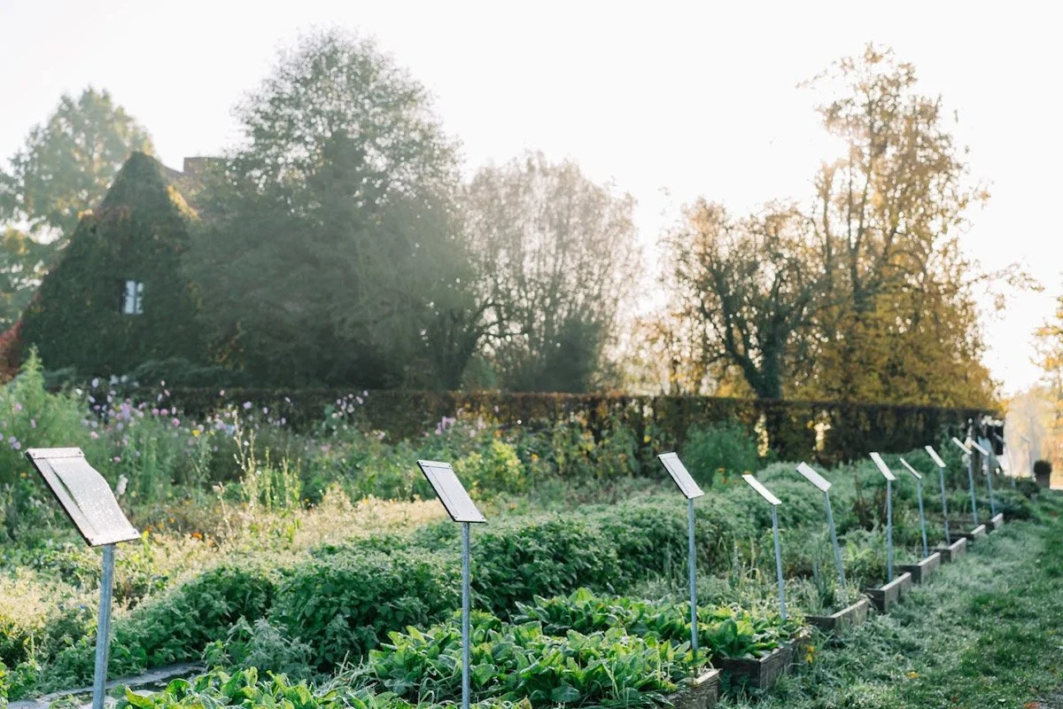 Een tuin met informatieborden langs de planten, omringd door bomen en bloemen, met de zonsondergang op de achtergrond.