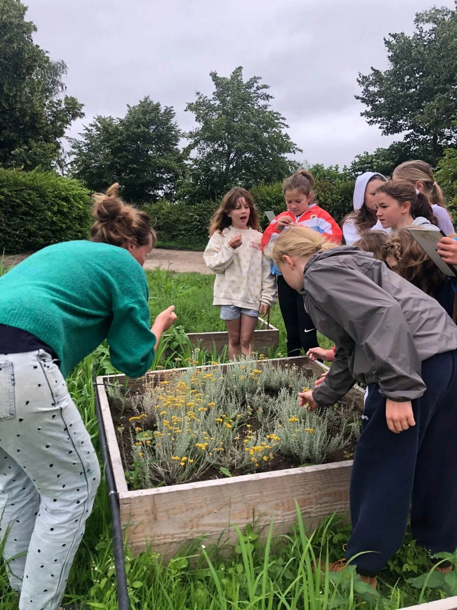 Groep kinderen onderzoekt bloemen en planten in een tuin of schooltuin, omgeven door groen en bomen, op een bewolkte dag.