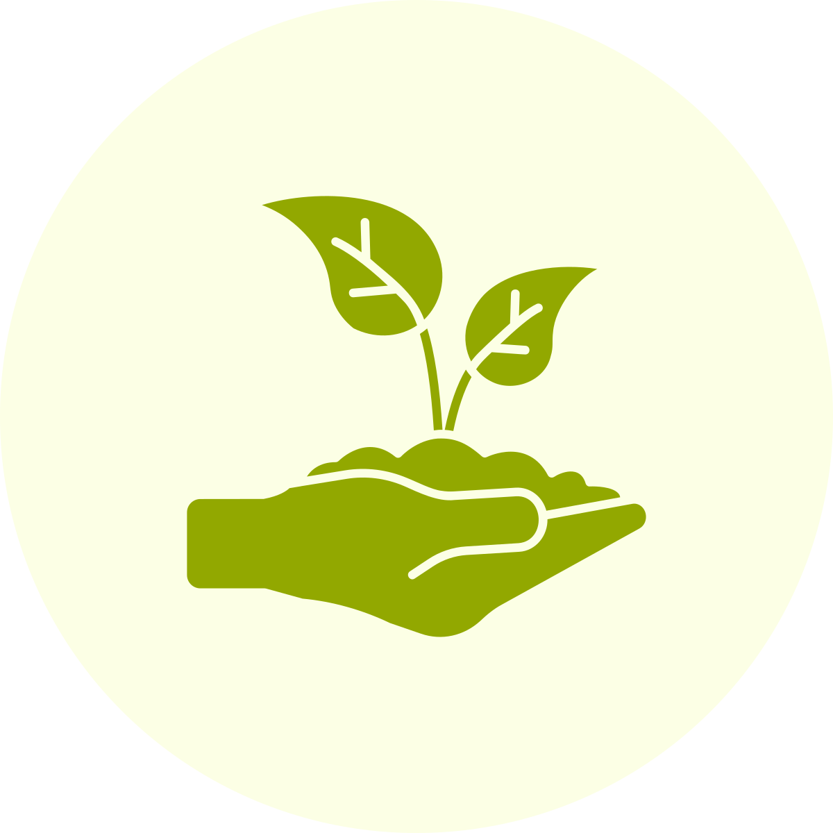 Illustratie van een hand die een zaailing vasthoudt, met twee groene bladeren. Symboliseert groei en milieuvriendelijkheid.