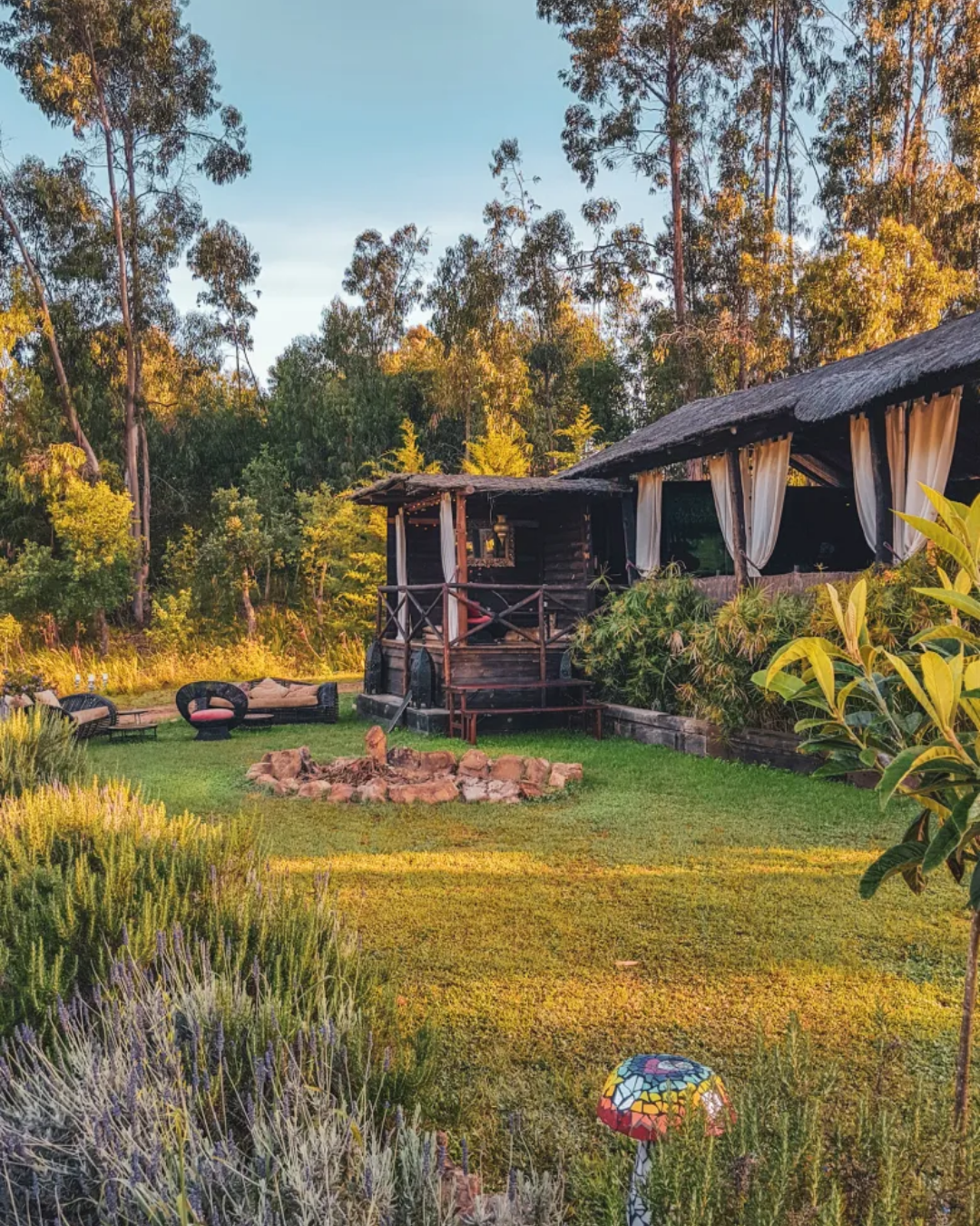 Eco-lodge accommodation surrounded by nature in Portugal, with outdoor seating and fire pit at a fermentation residency retreat setting