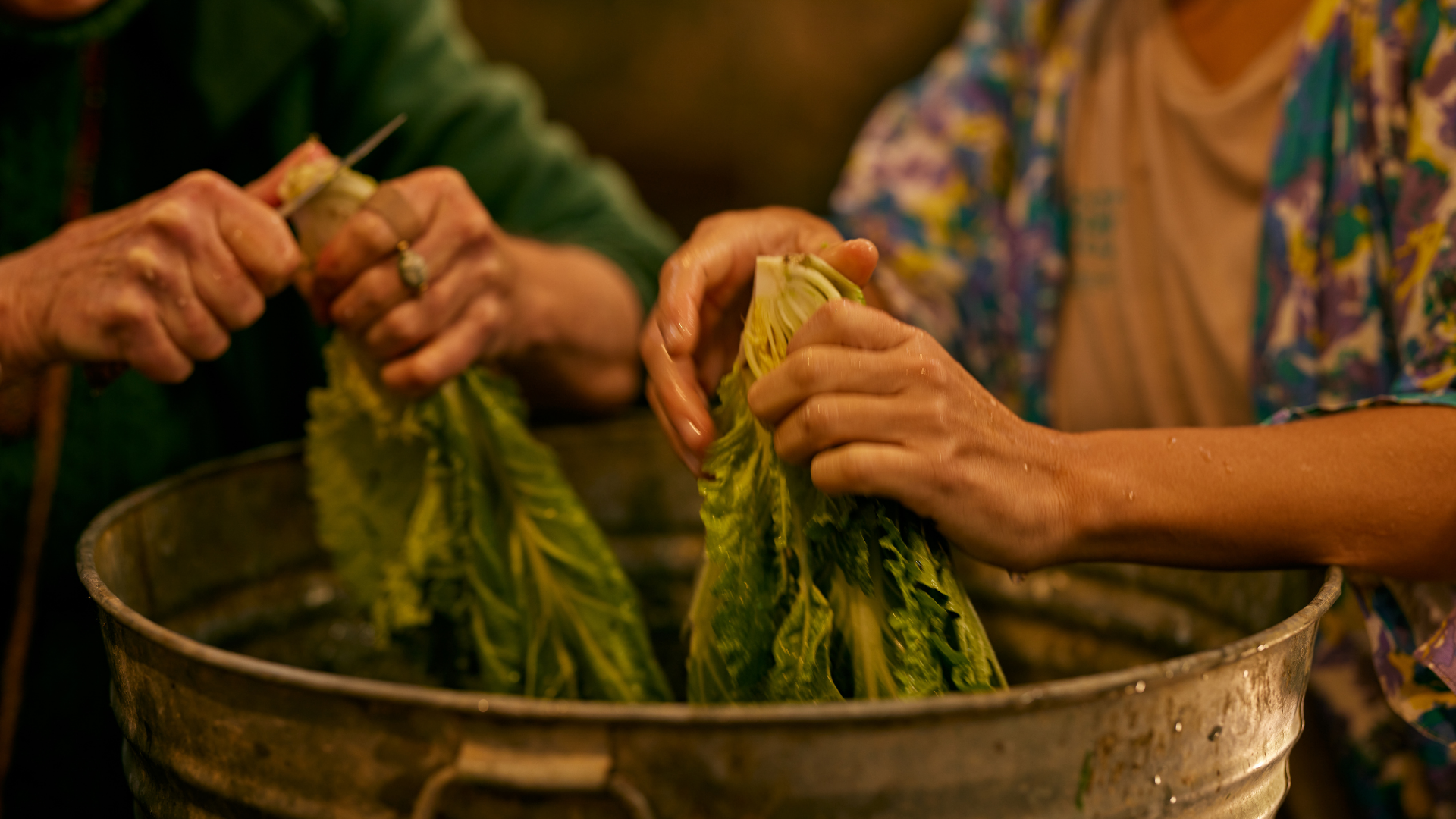 Hands washing fresh lettuce leaves in a metal basin, preparing vegetables for fermentation at a hands-on food workshop