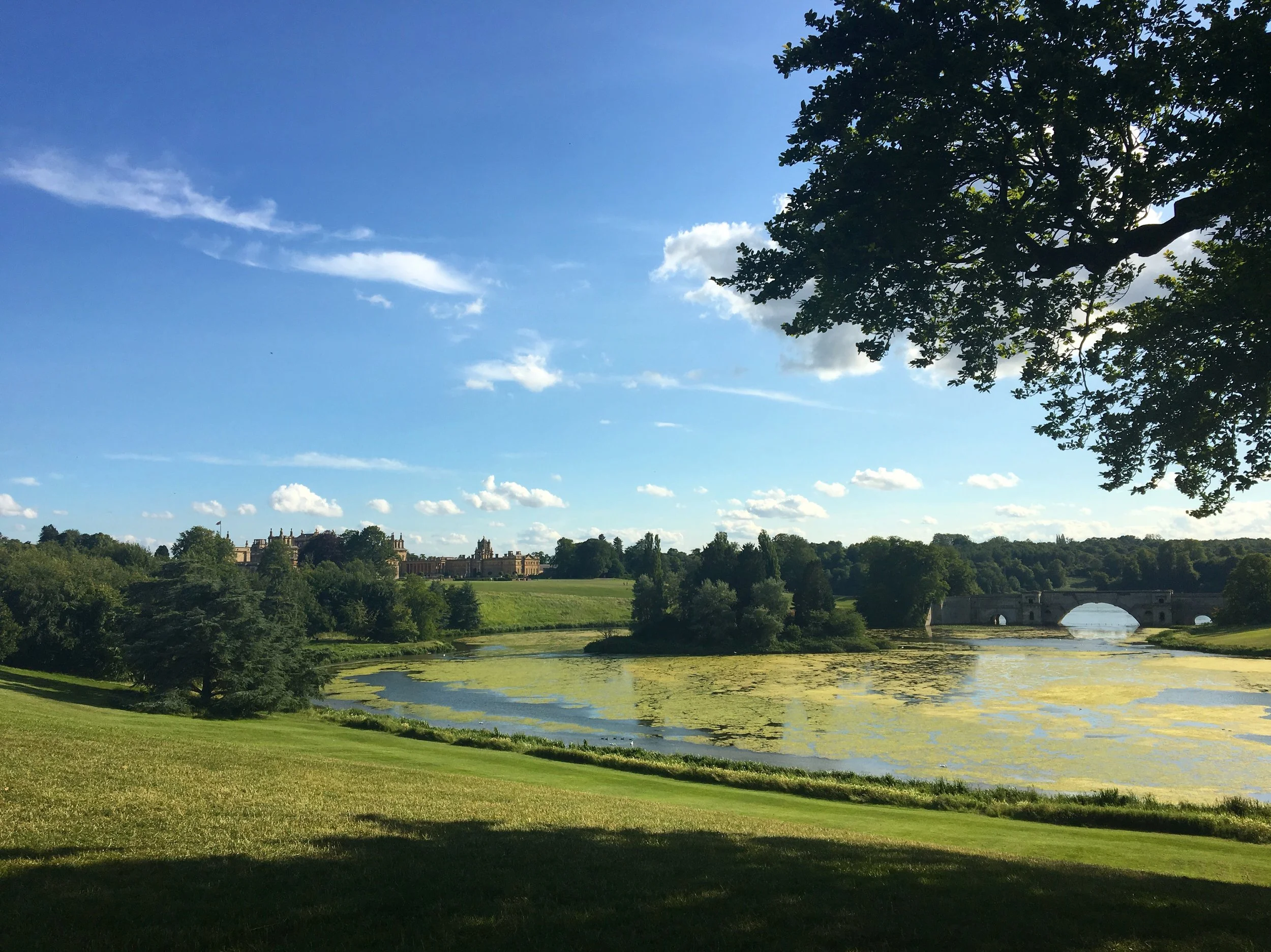 Blenheim Horse Trials