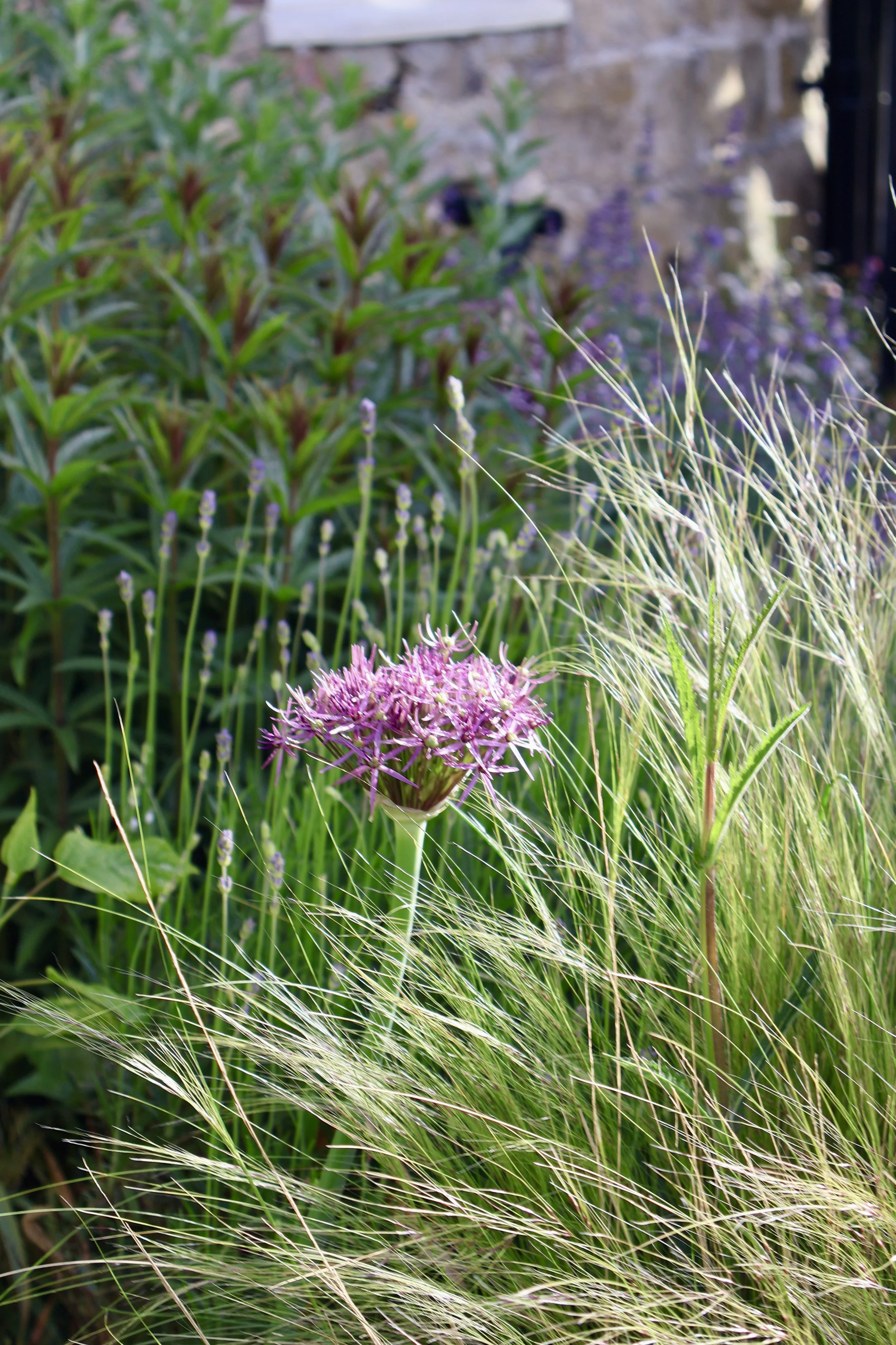 IMG_1180.jpeg