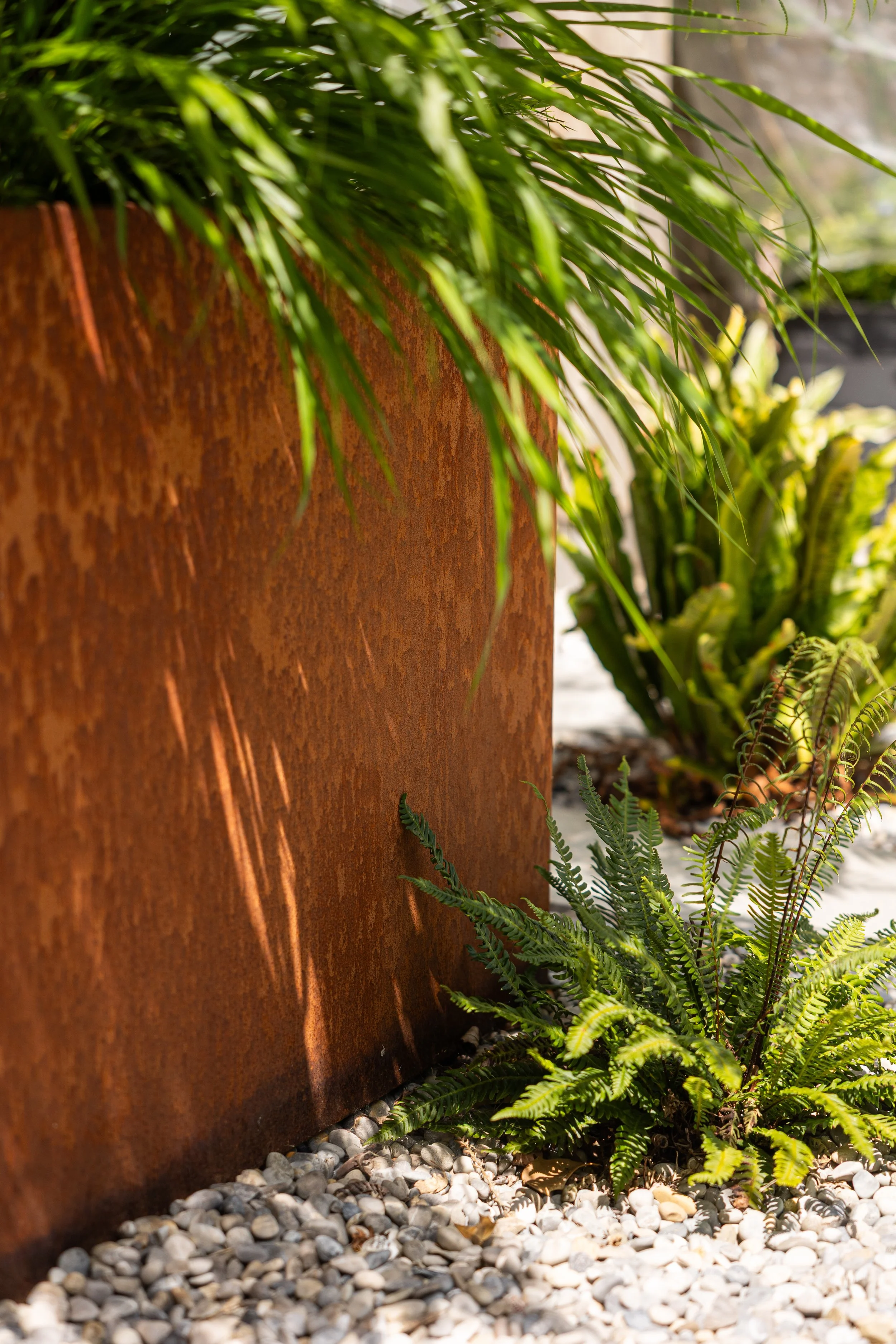 Alex-Plumley-Gardens-108.jpg
