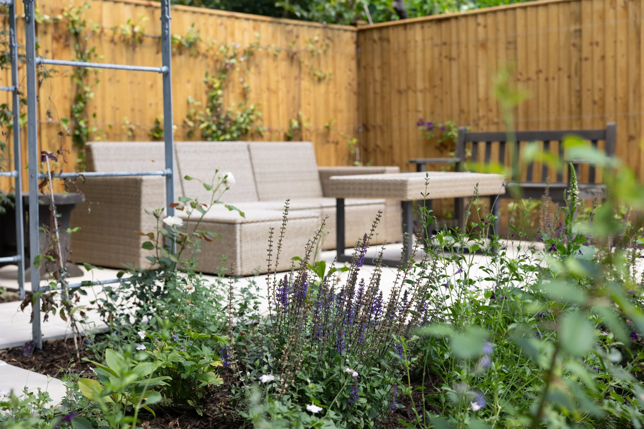 Alex-Plumley-Gardens-129.jpg