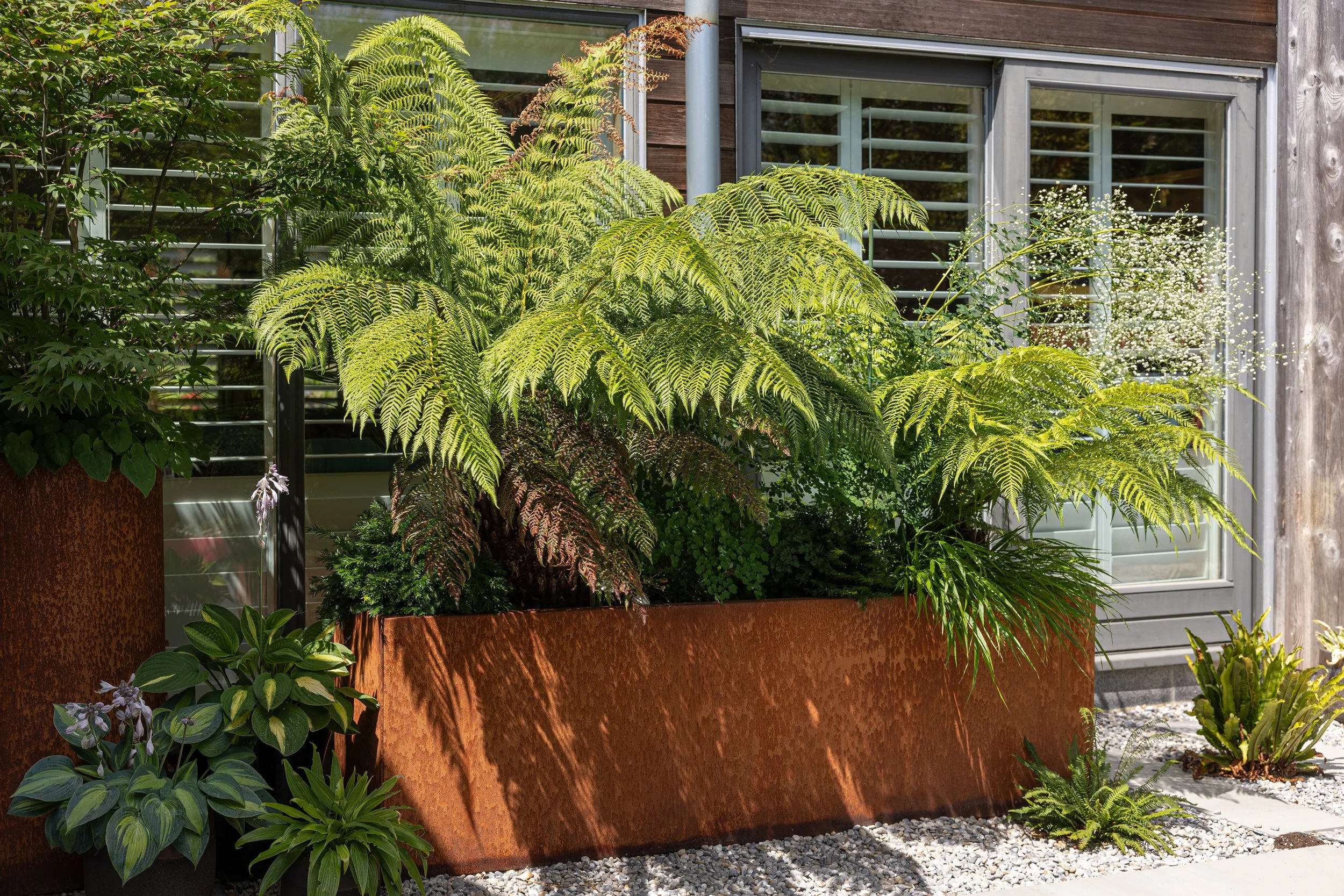 Alex-Plumley-Gardens-100.jpg