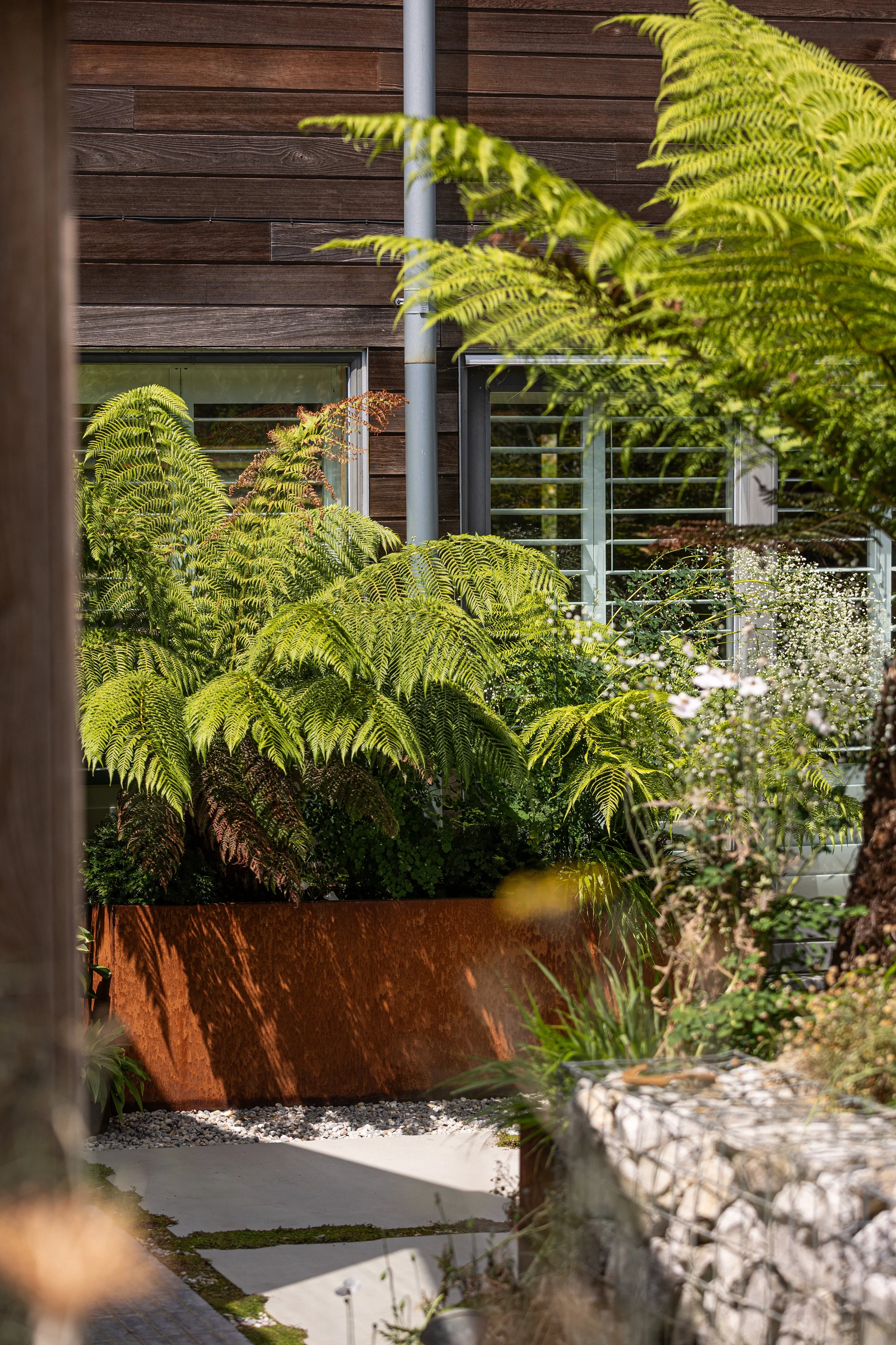 Alex-Plumley-Gardens-92.jpg