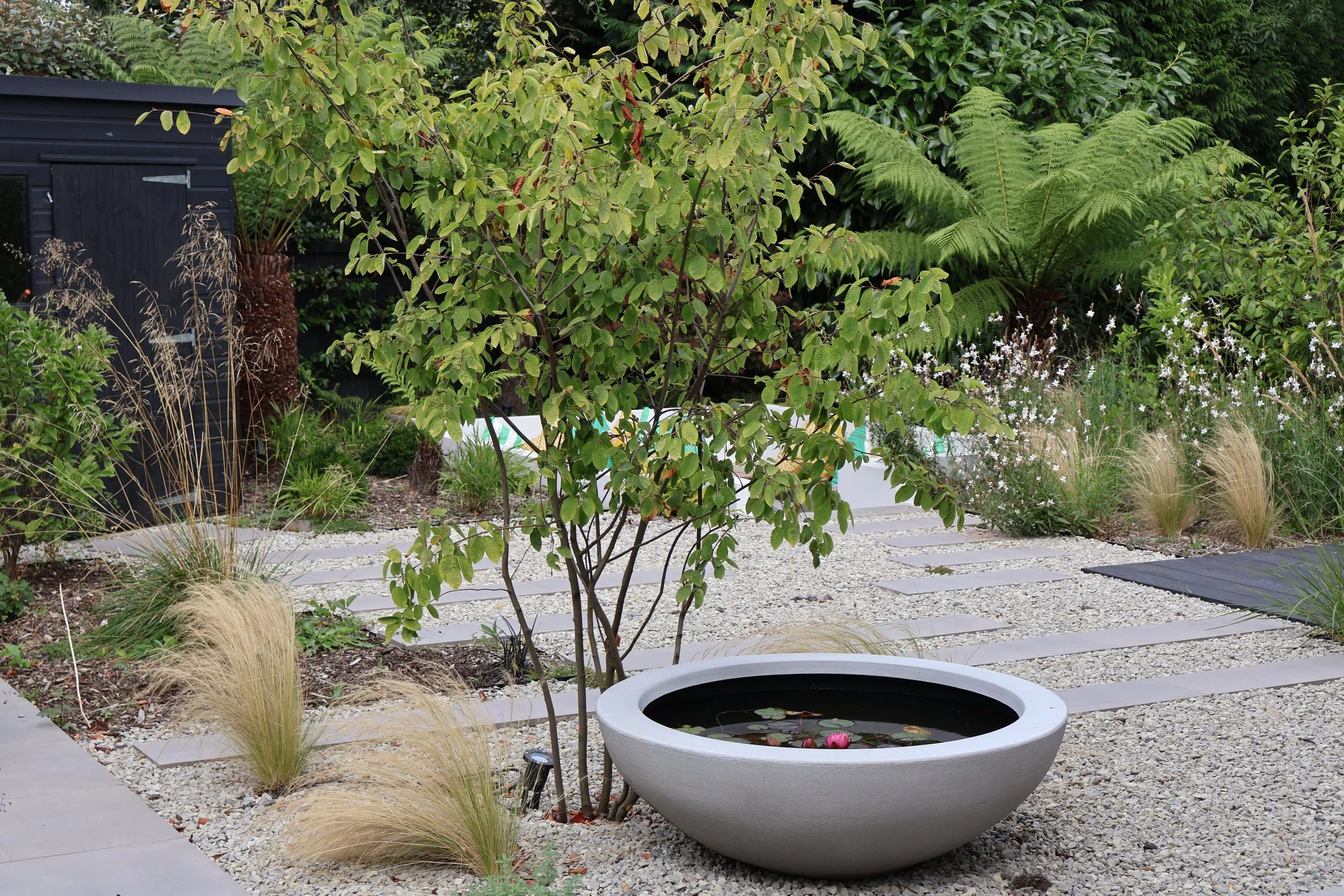 Gravel garden with a stone water bowl, ornamental grasses and a multi-stemmed tree