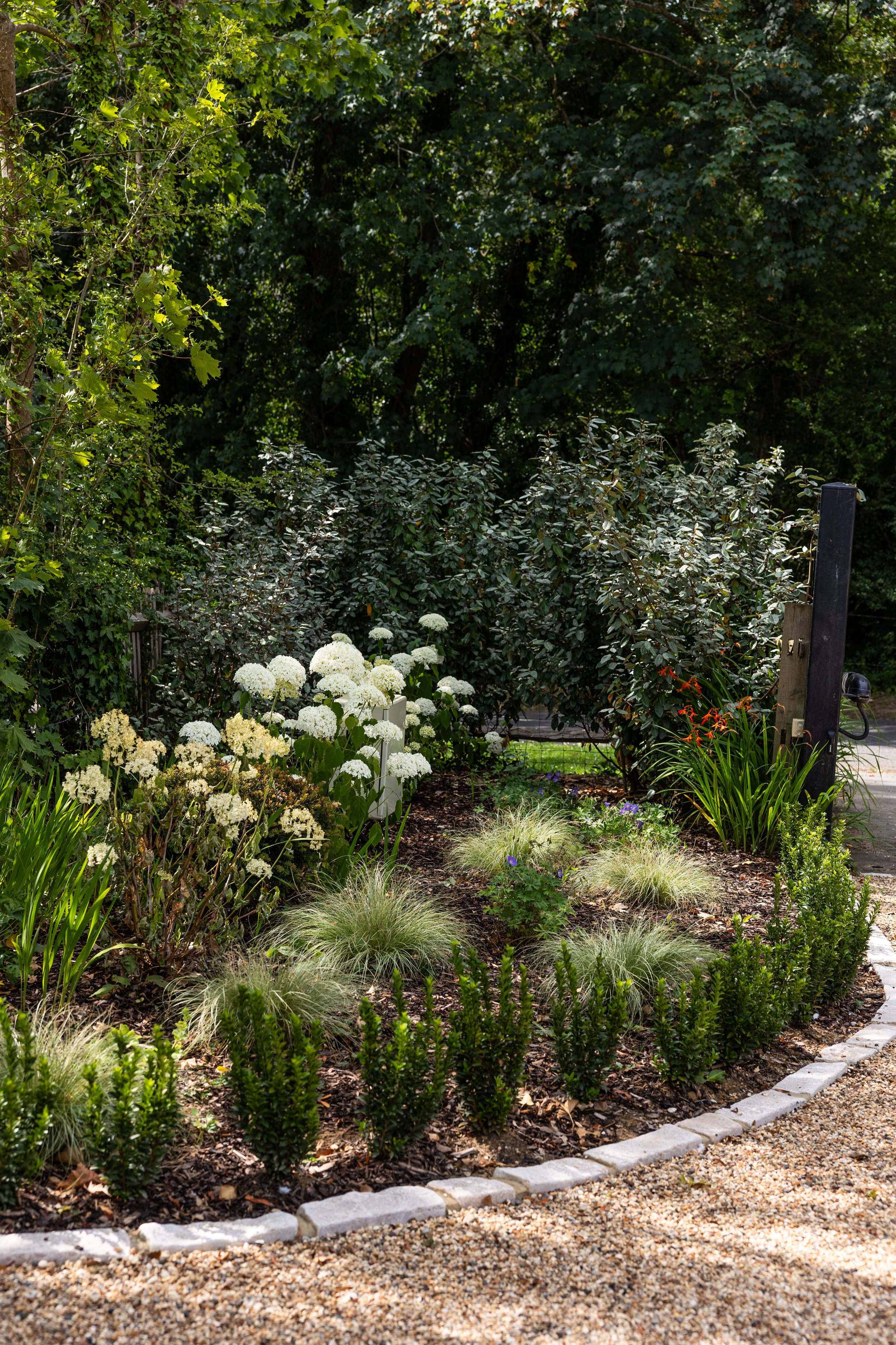 Alex-Plumley-Gardens-55.jpg