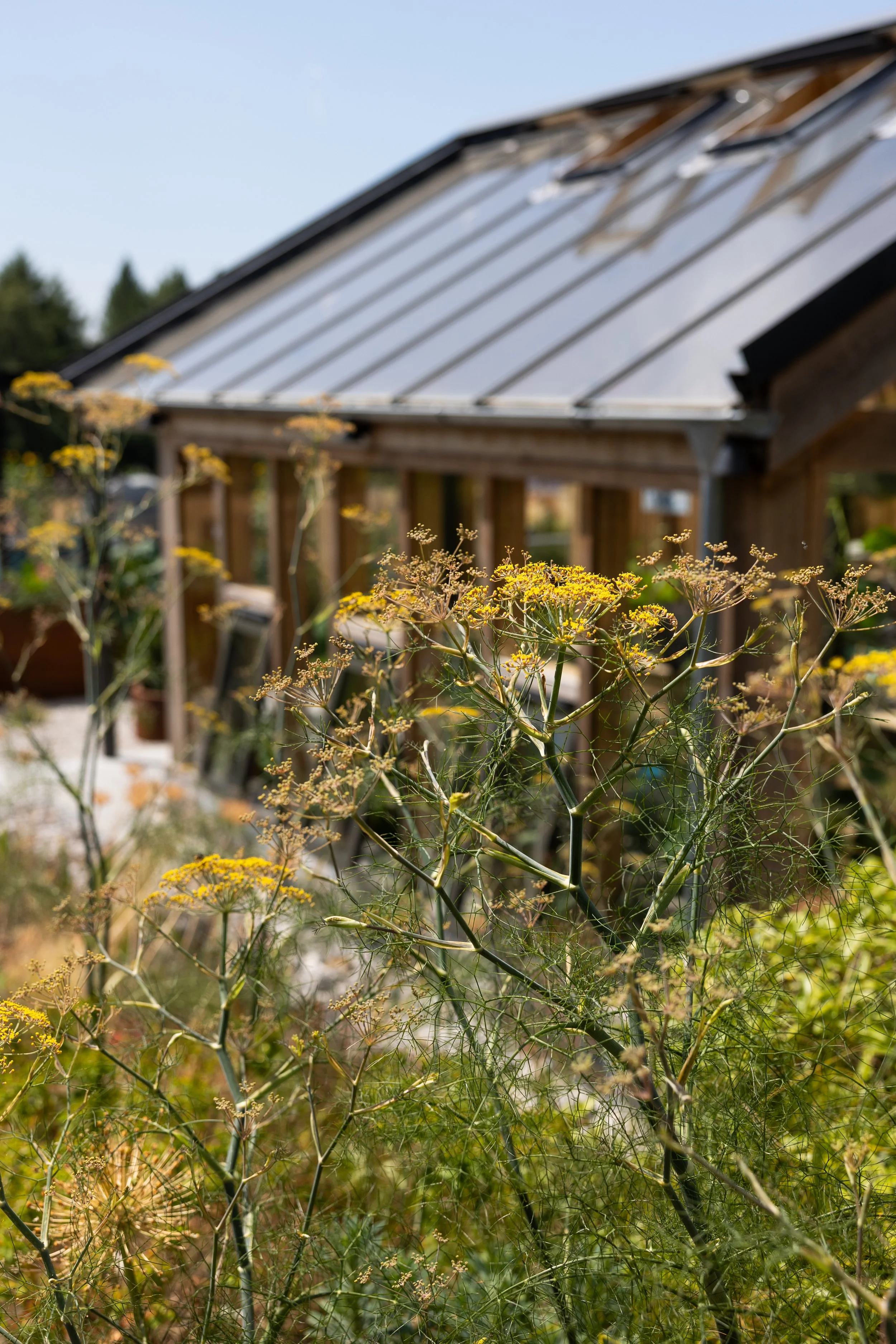 Alex-Plumley-Gardens-118.jpg